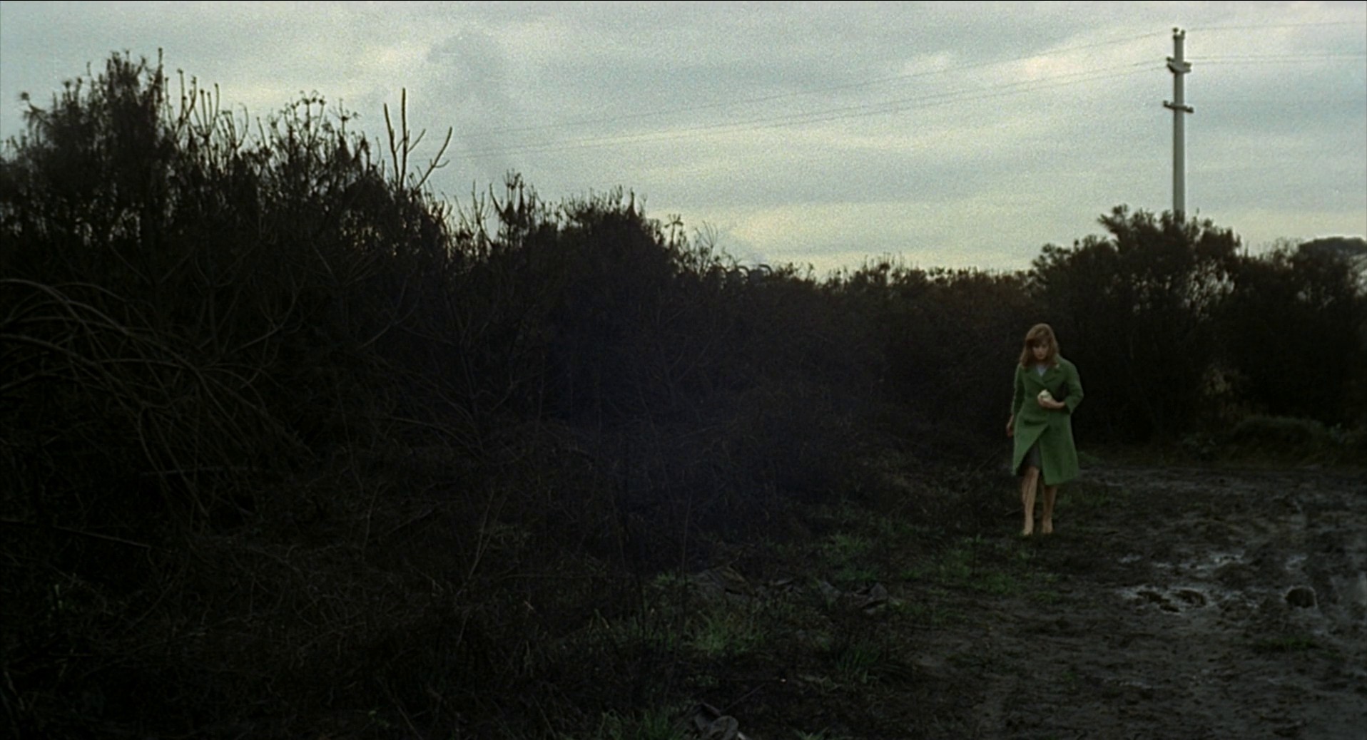 Red Desert (1964) —  shot,  lighting