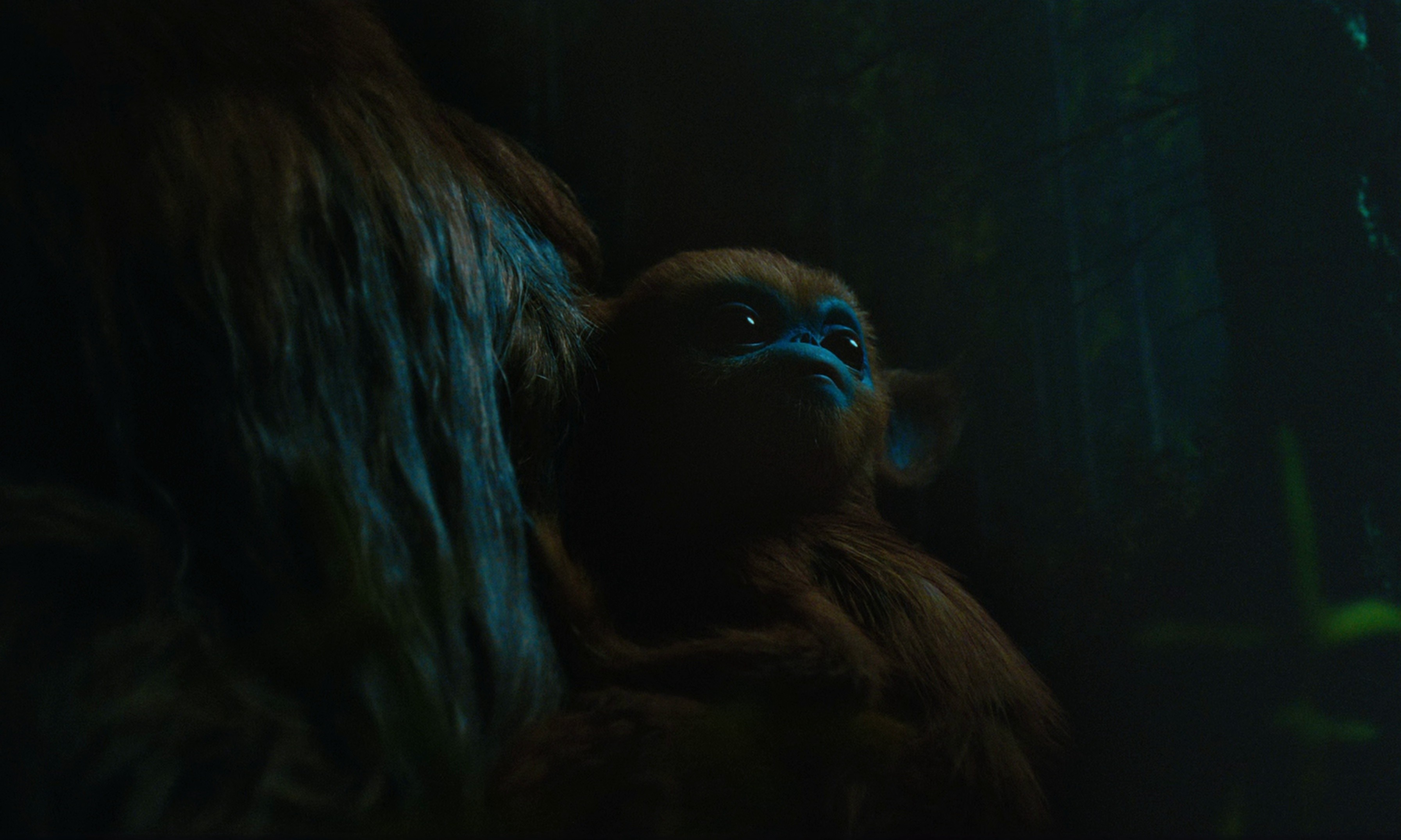 The Legend of Ochi (2025) —  shot,  lighting