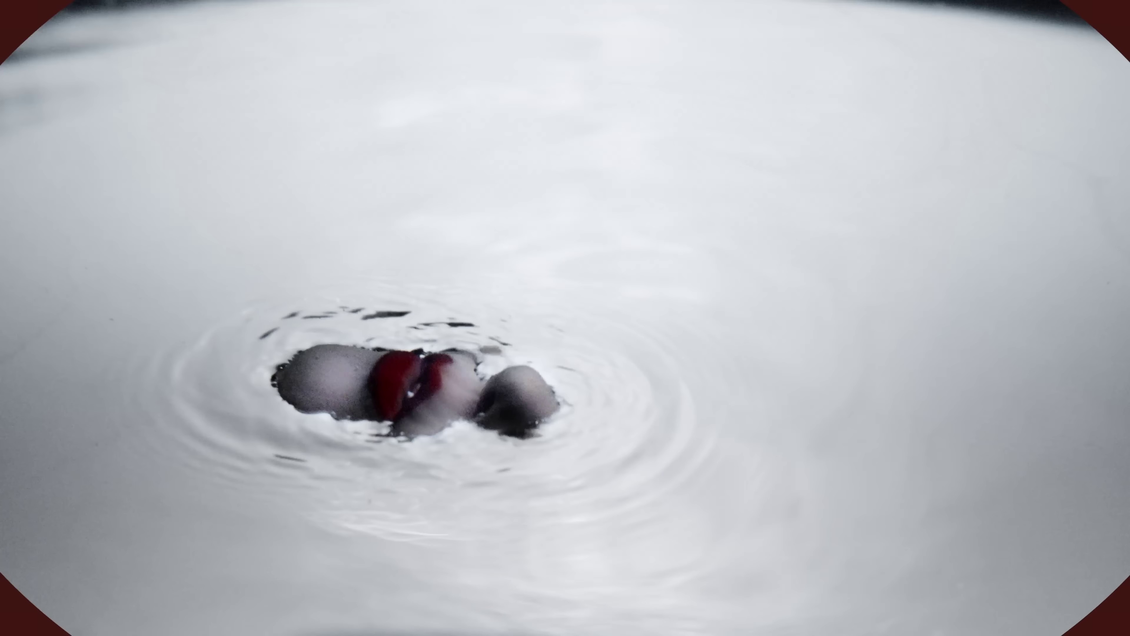 ovule (2022) —  shot,  lighting