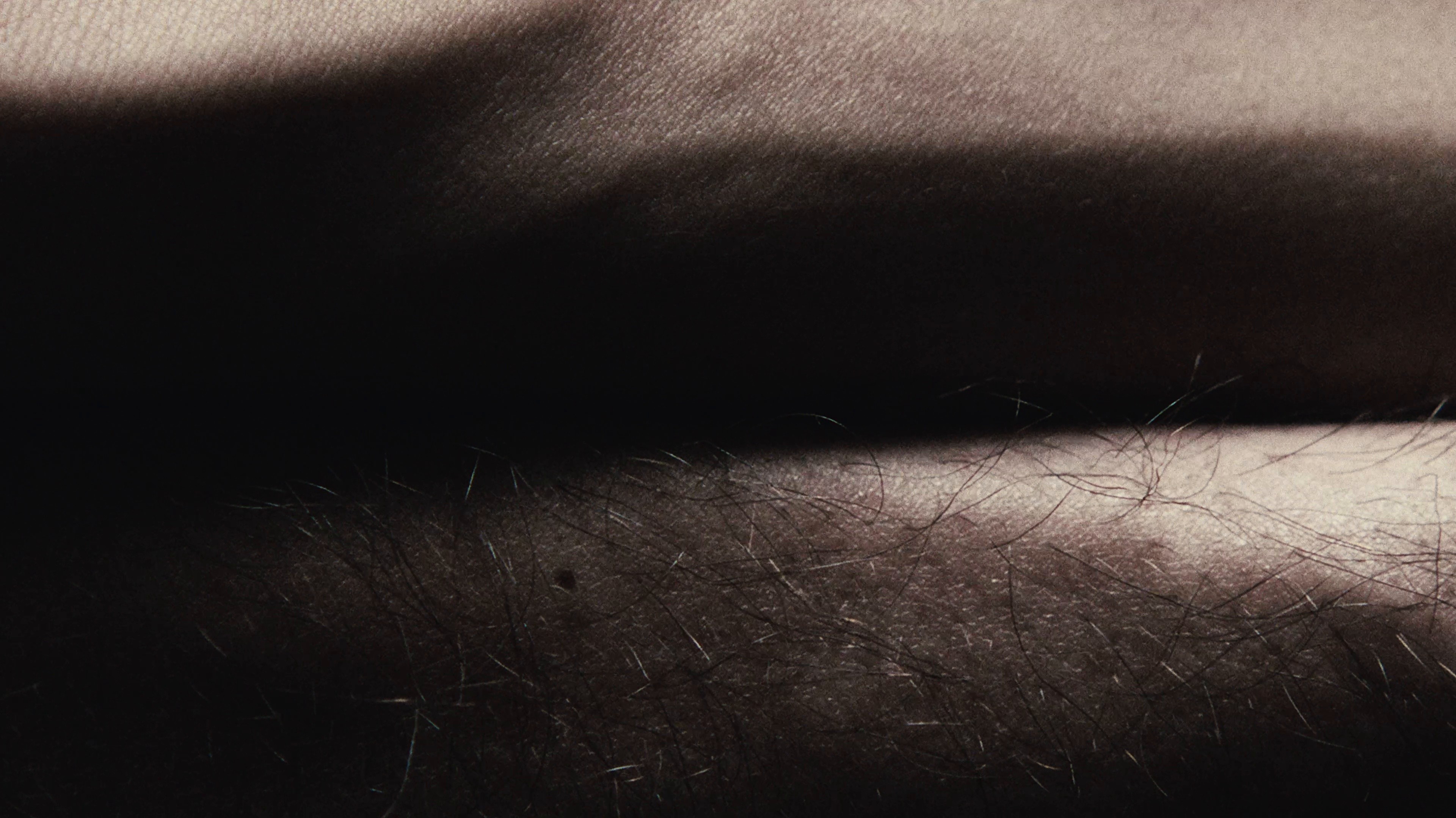 Merci pour les fleurs (2026) —  shot,  lighting