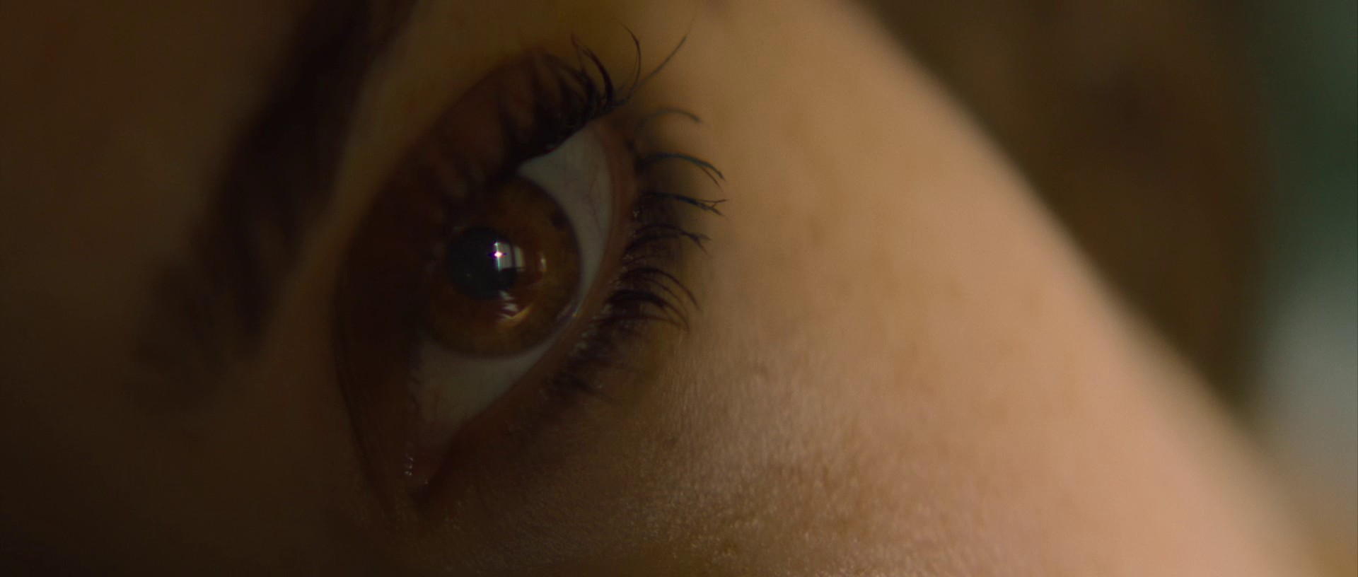 Palm Springs (2020) —  shot,  lighting