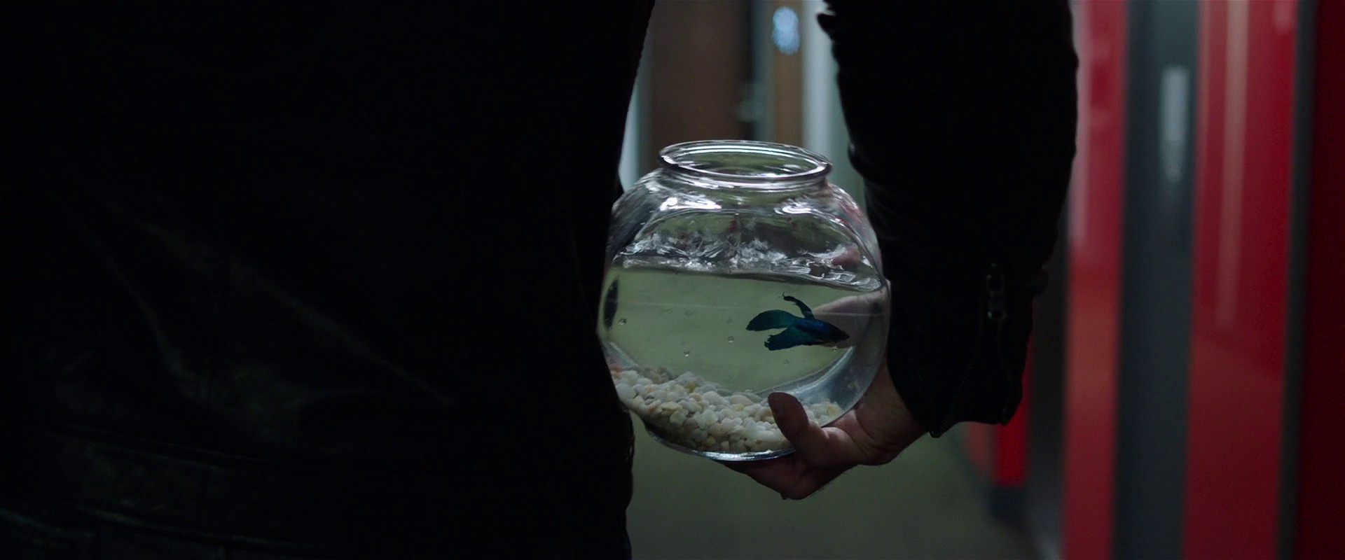 My Spy (2020) —  shot,  lighting