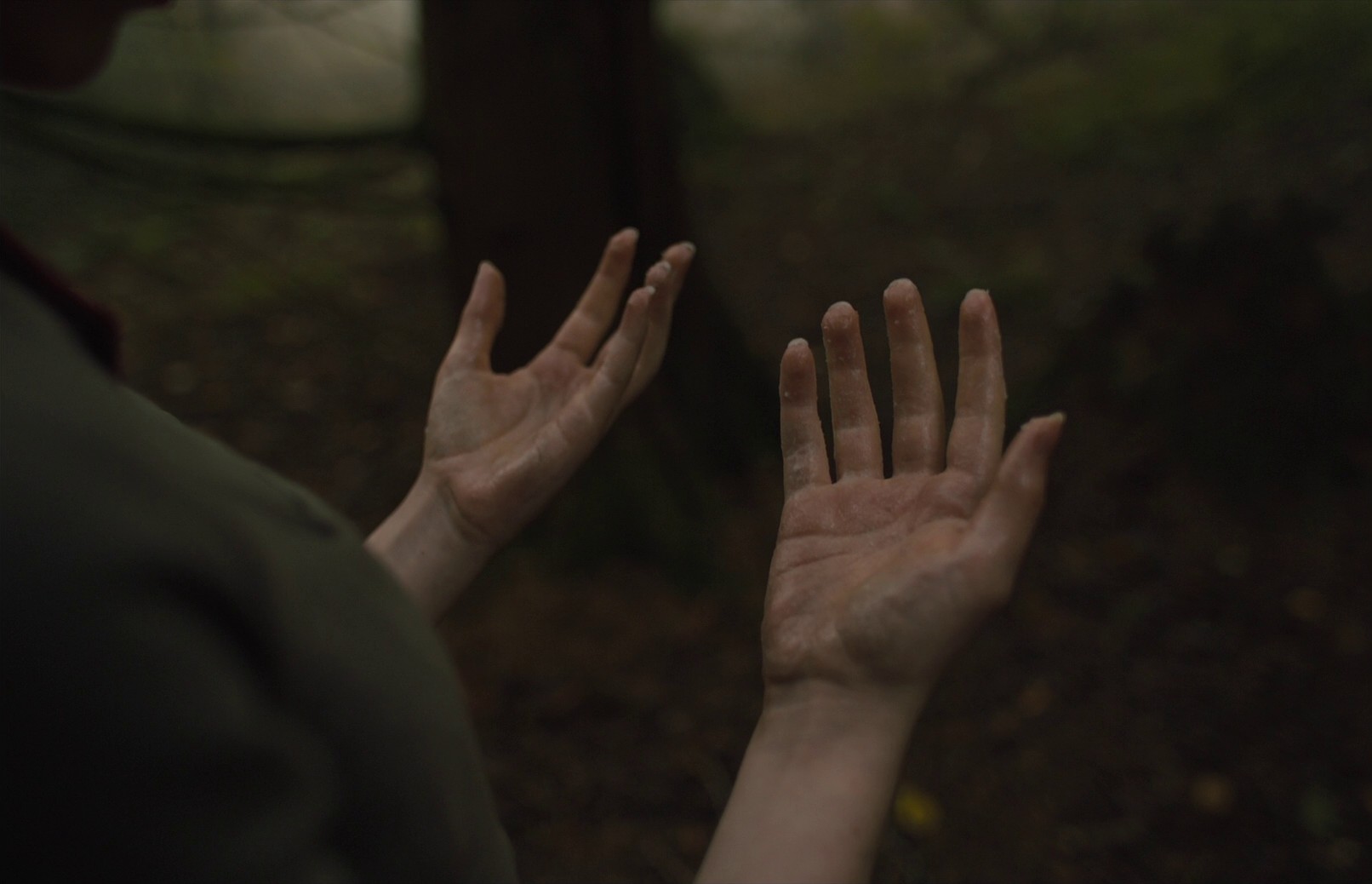 Gretel & Hansel (2020) —  shot,  lighting