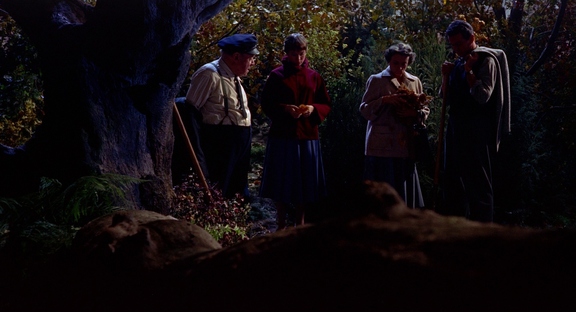 The Trouble with Harry (1955) —  shot,  lighting