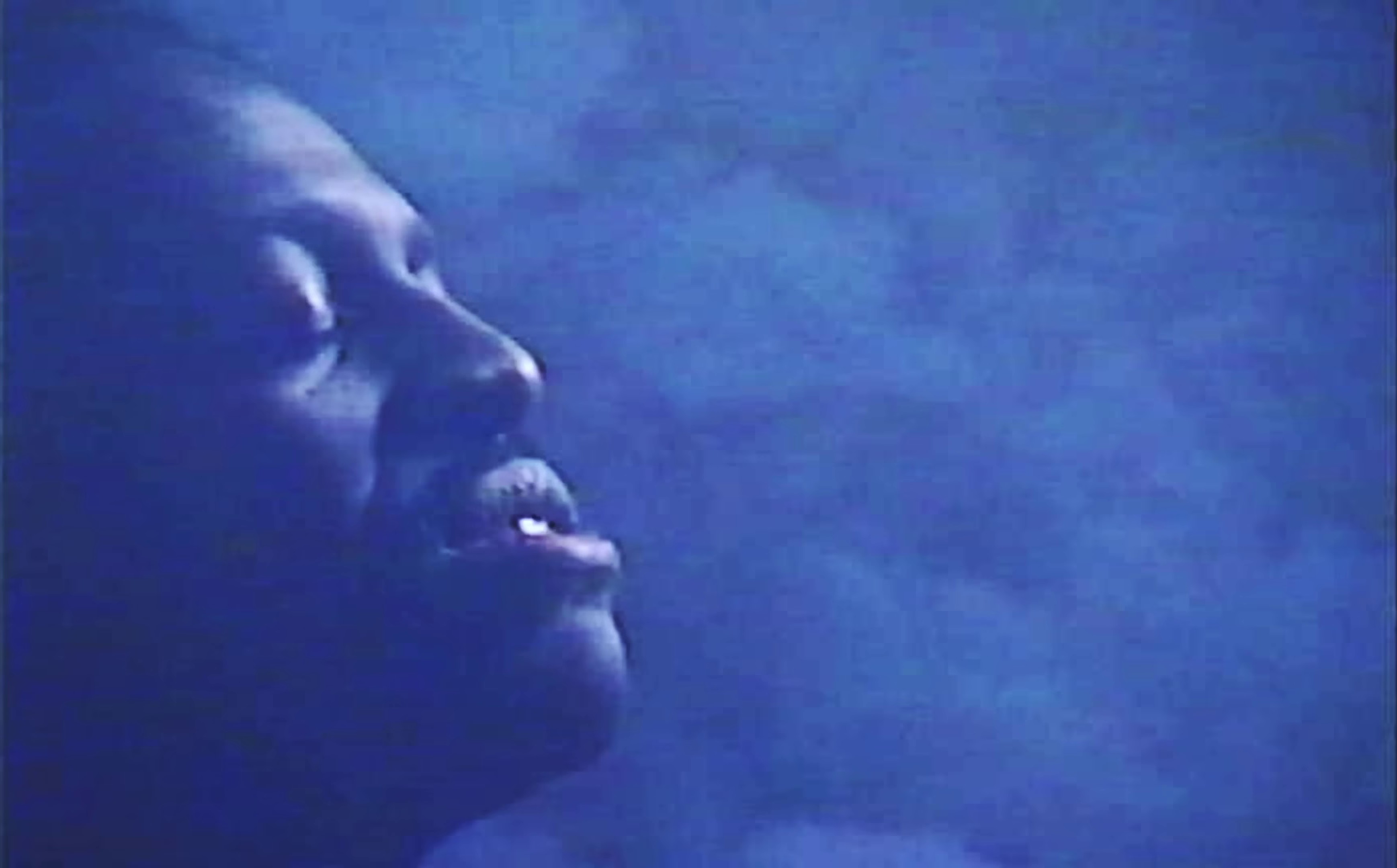 Who We Are (2024) —  shot,  lighting