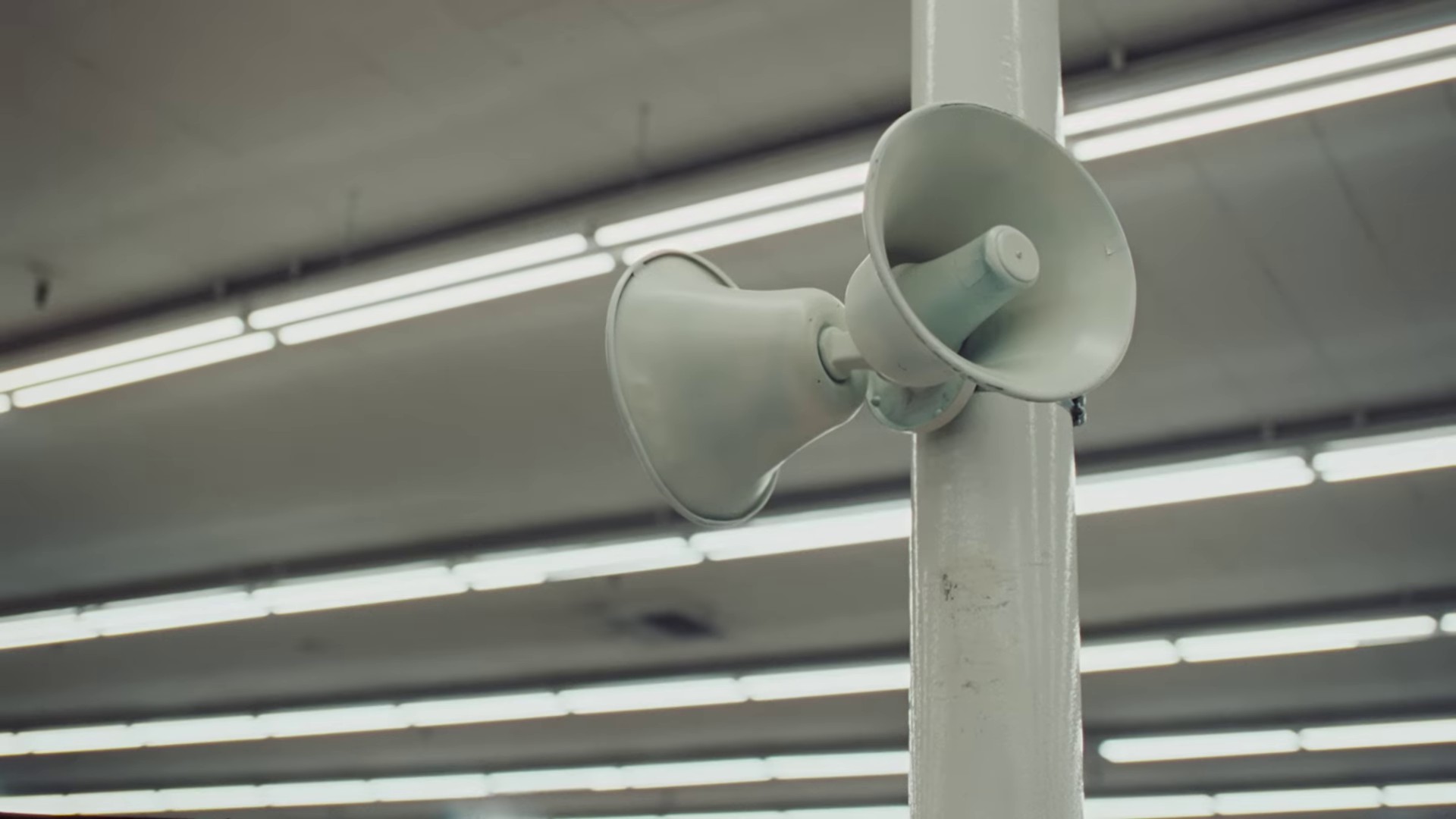 Never Ending Song (2023) —  shot,  lighting