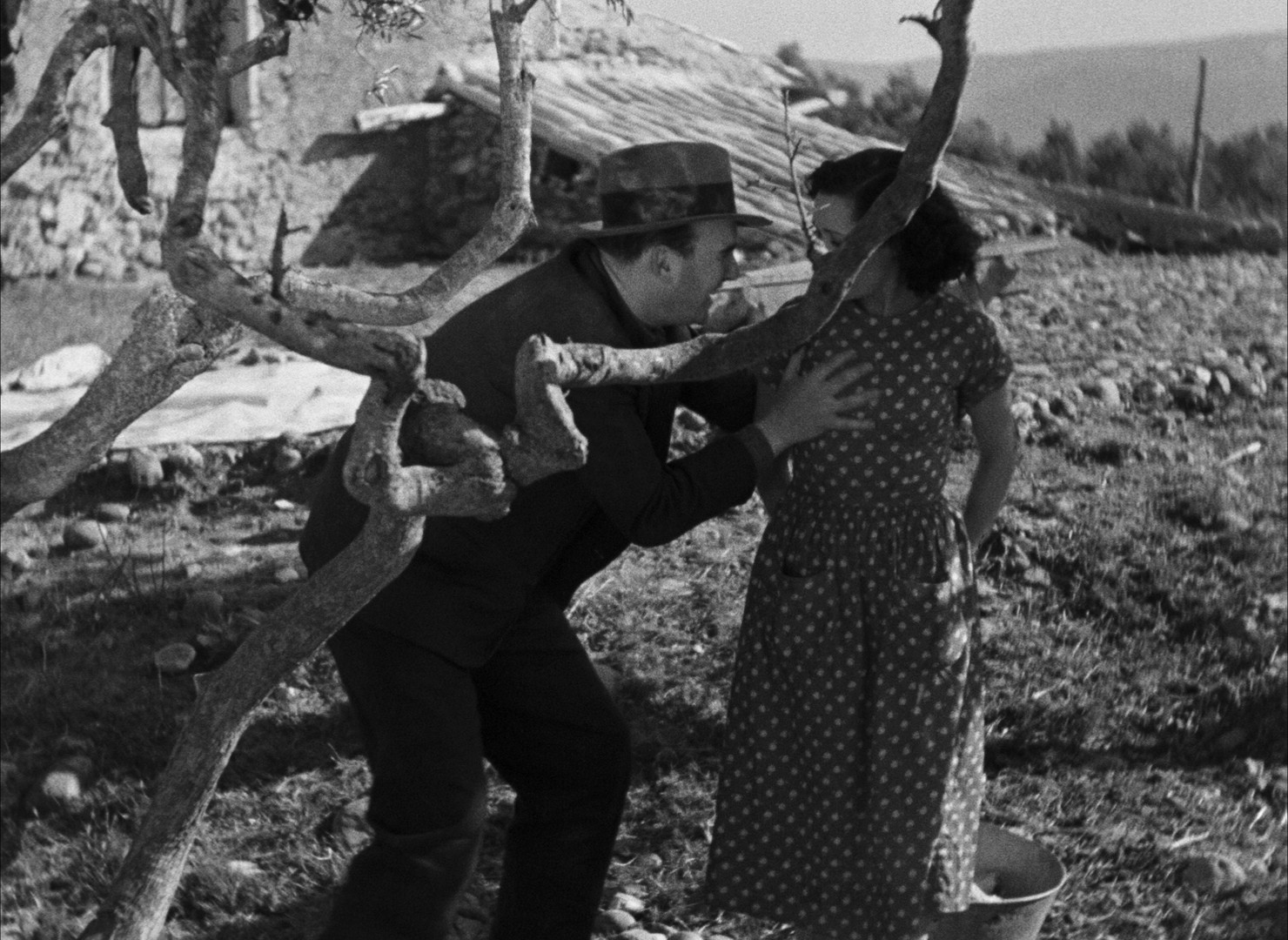 Toni (1935) —  shot,  lighting