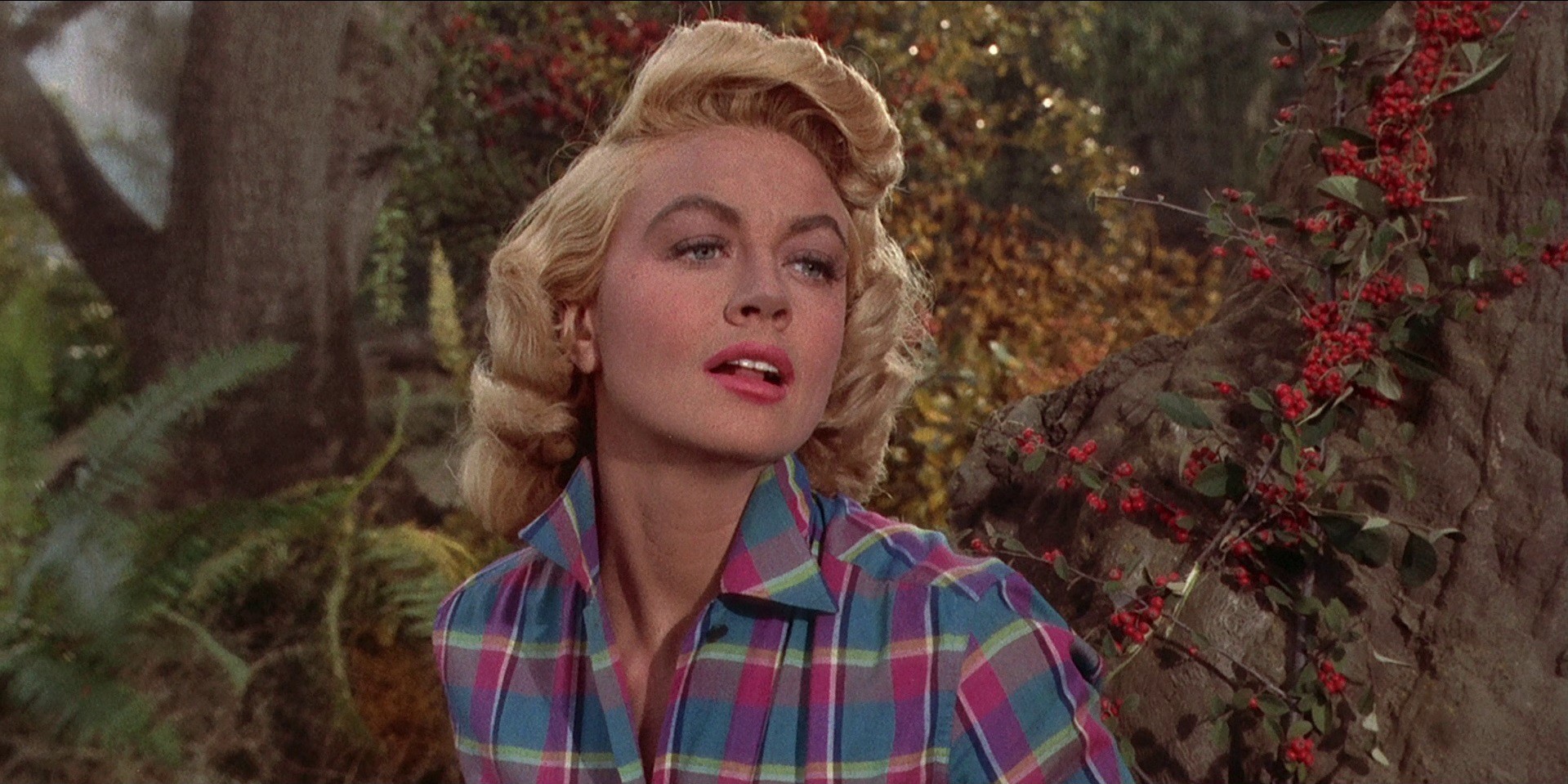 Written on the Wind (1956) —  shot,  lighting