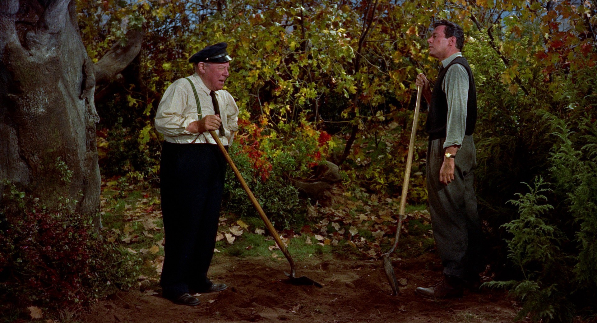 The Trouble with Harry (1955) —  shot,  lighting