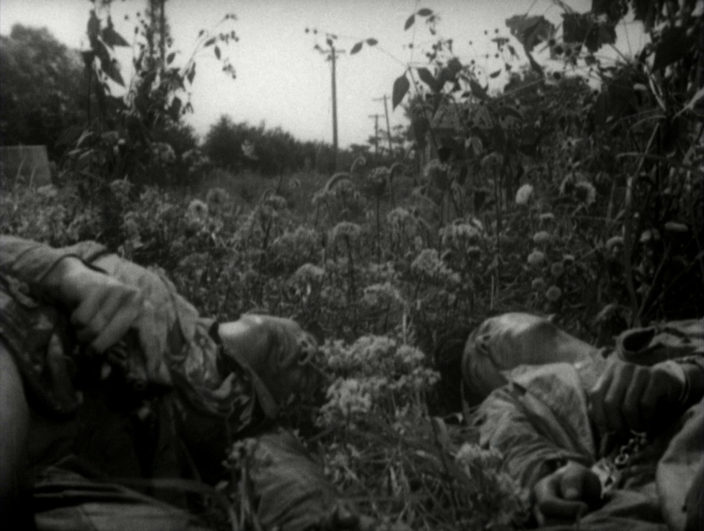 Stray Dog (1949) —  shot,  lighting