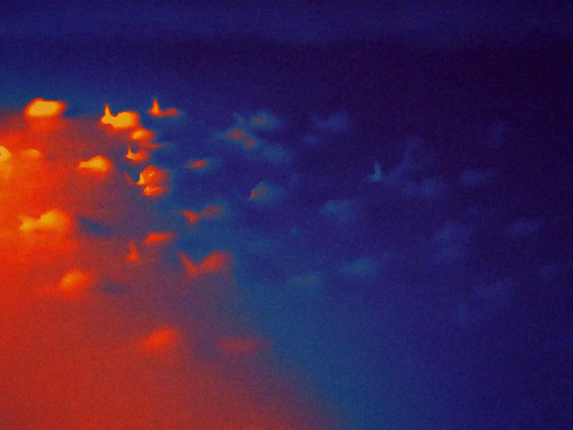 WWF - In Hot Water (2024) —  shot,  lighting