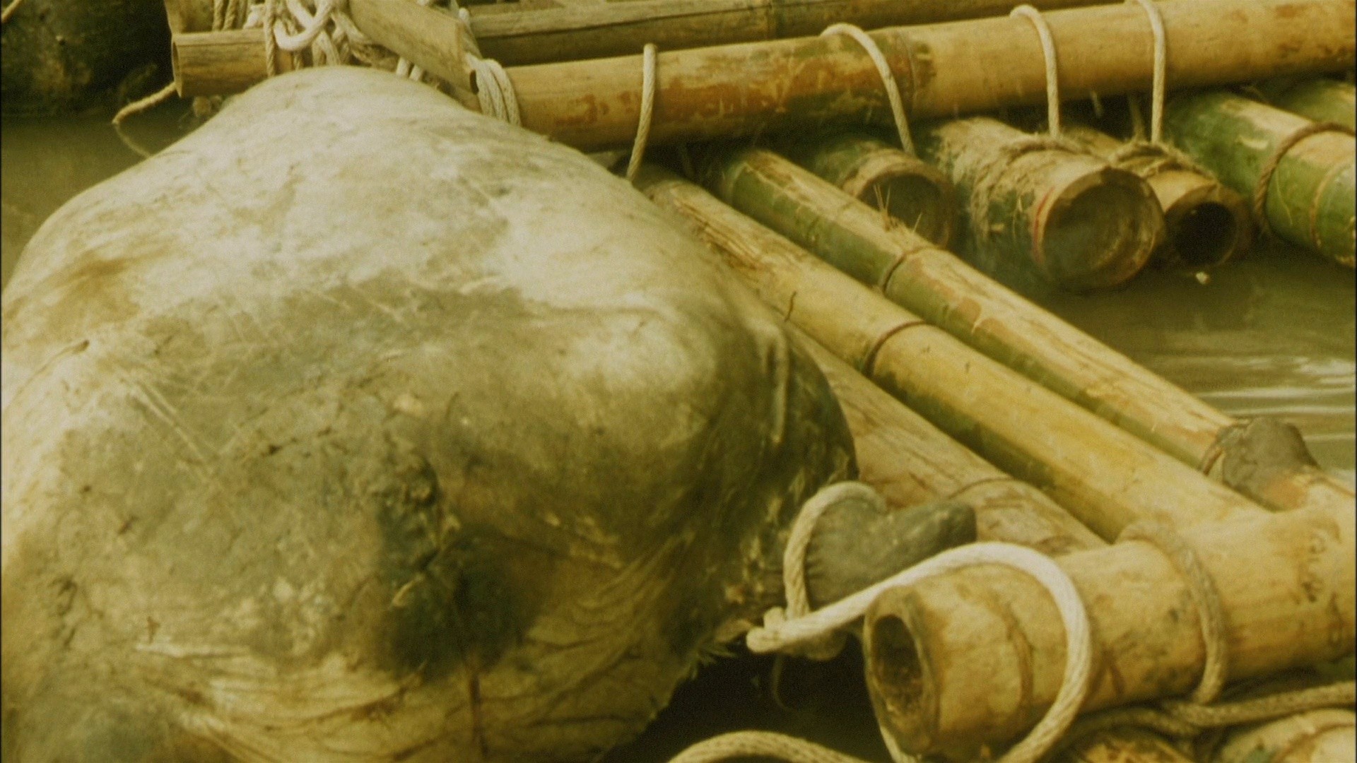 The Bird People in China (1998) —  shot,  lighting