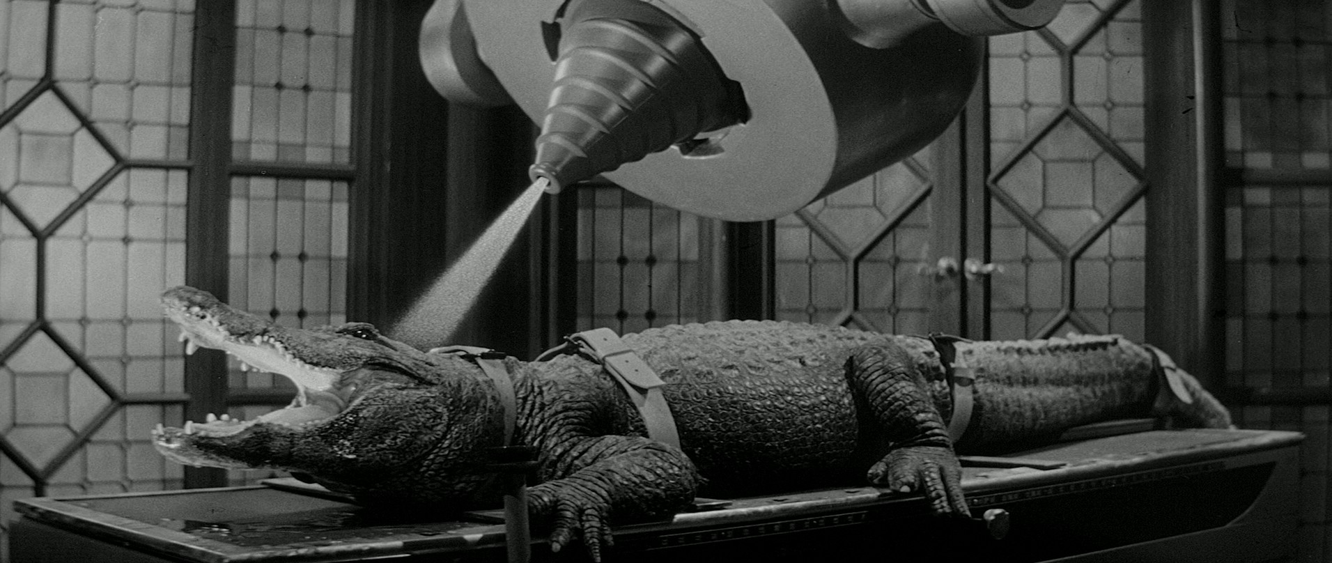 The Alligator People (1959) —  shot,  lighting