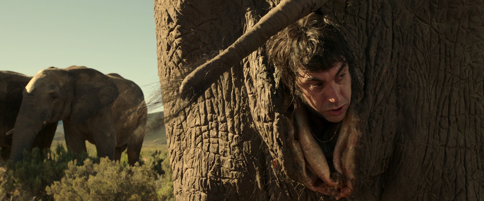 The Brothers Grimsby (2016) —  shot,  lighting