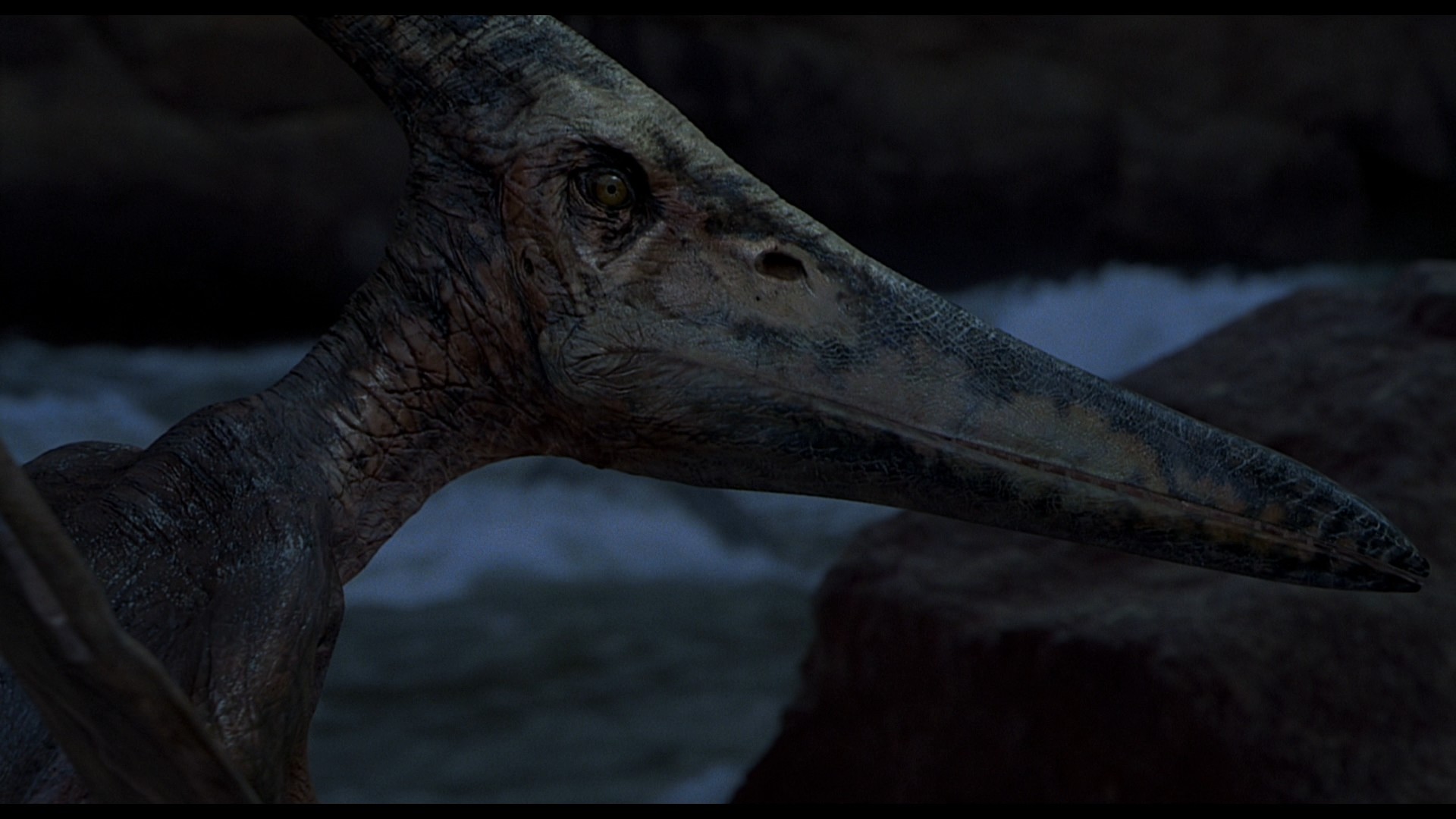 Jurassic Park III (2001) —  shot,  lighting