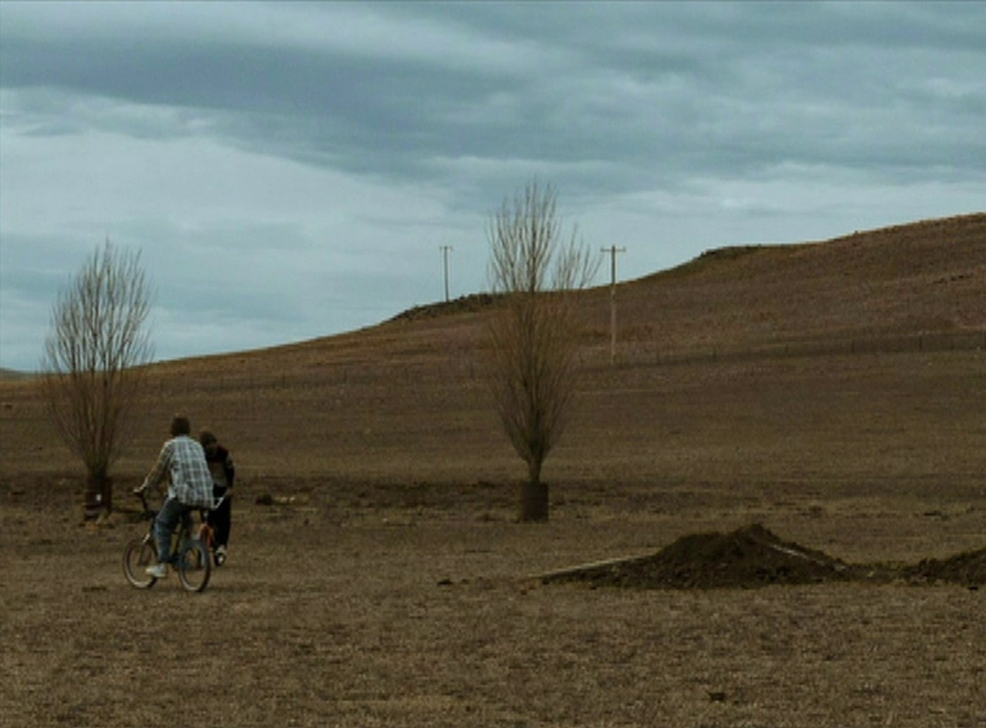 The Water Diary (2010) —  shot,  lighting
