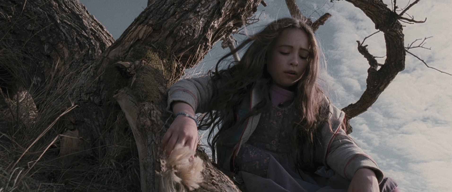 Tideland (2005) —  shot,  lighting