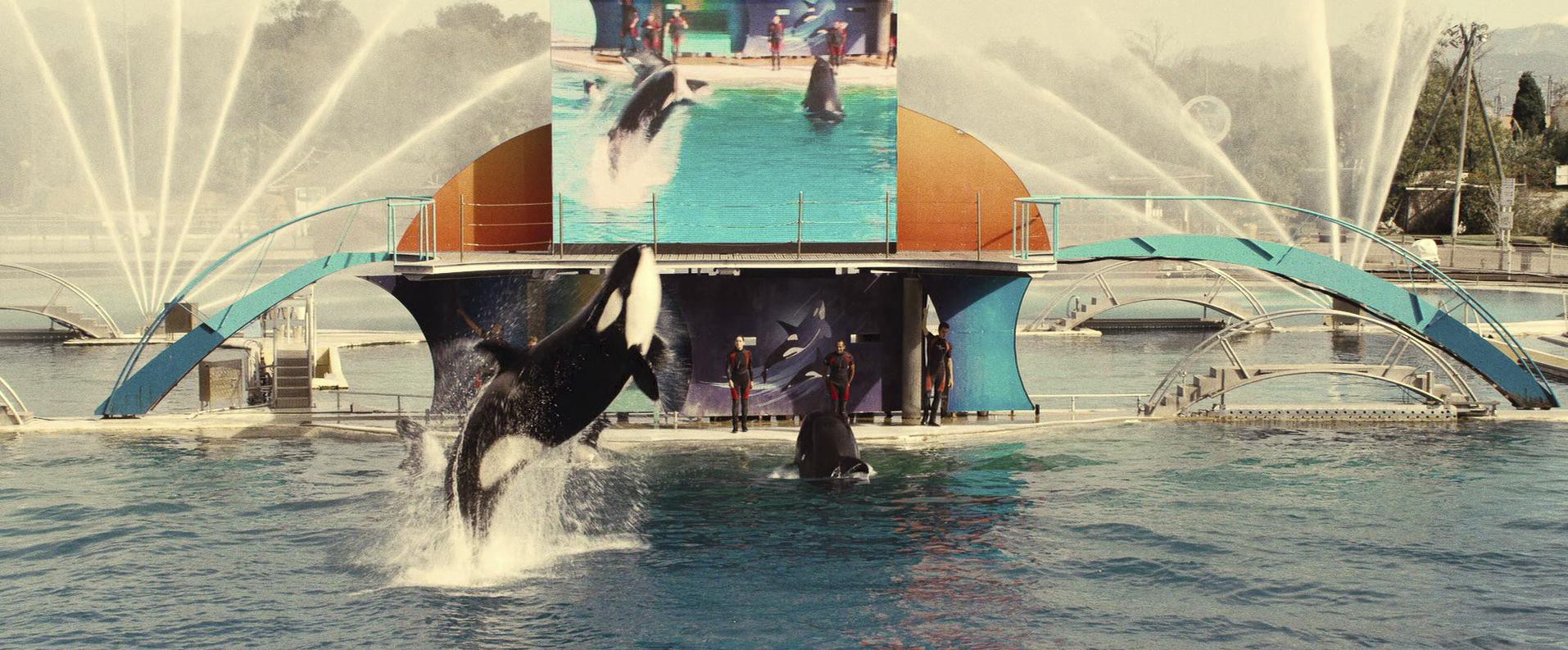 Rust and Bone (2012) —  shot,  lighting