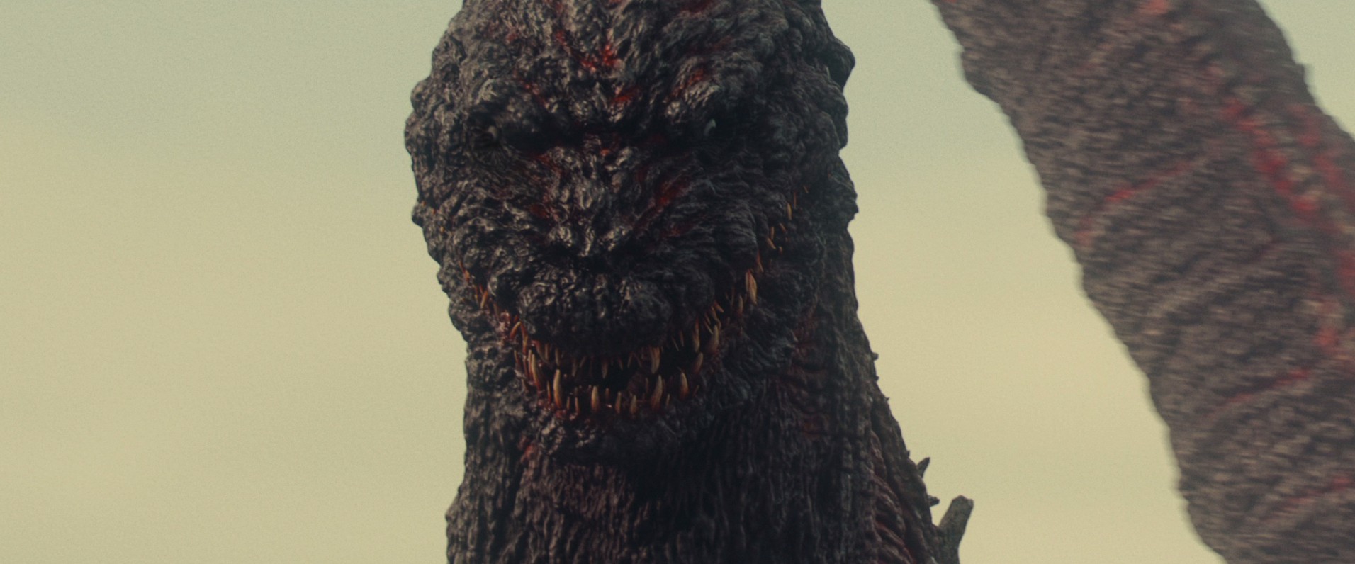 Shin Godzilla (2016) —  shot,  lighting