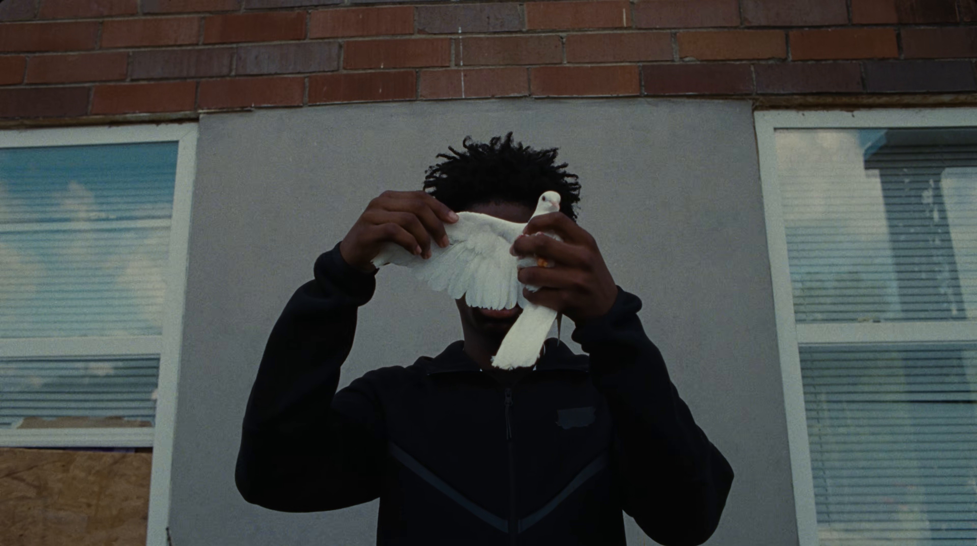 Community  (2025) —  shot,  lighting