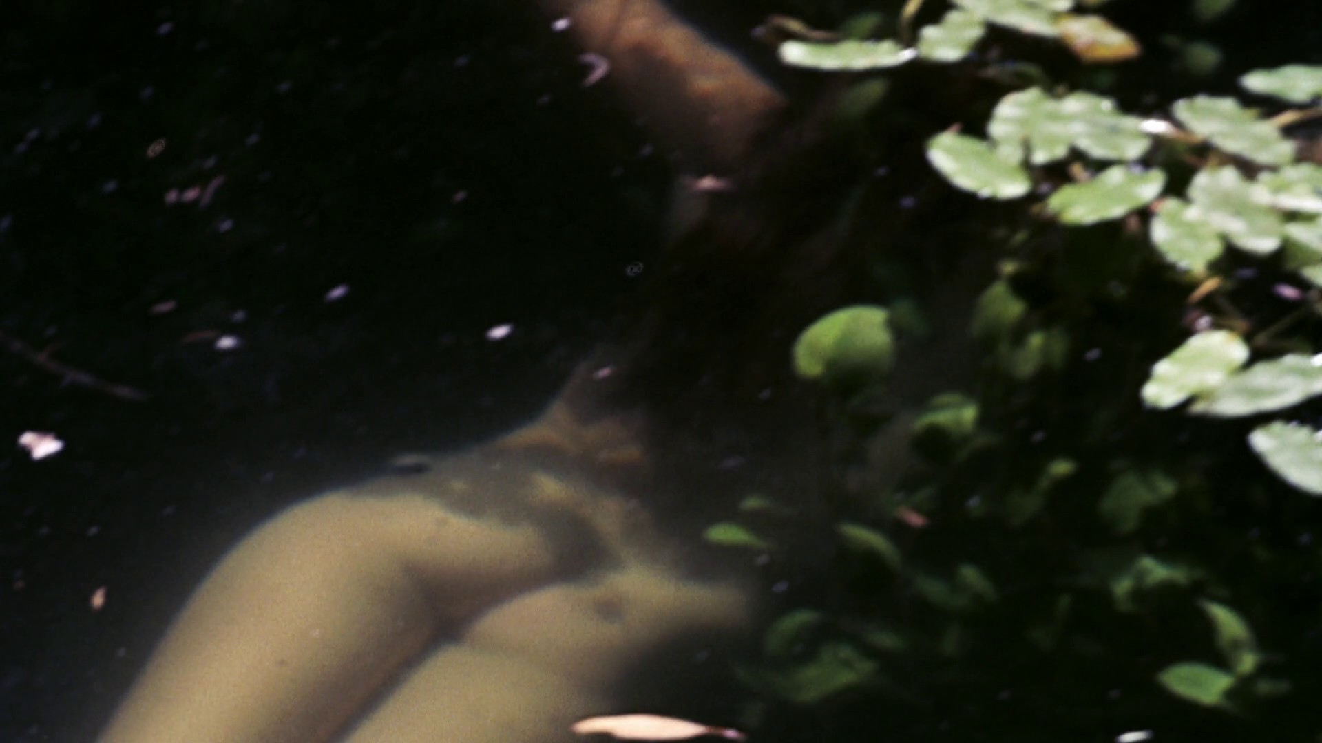 Walkabout (1971) —  shot,  lighting