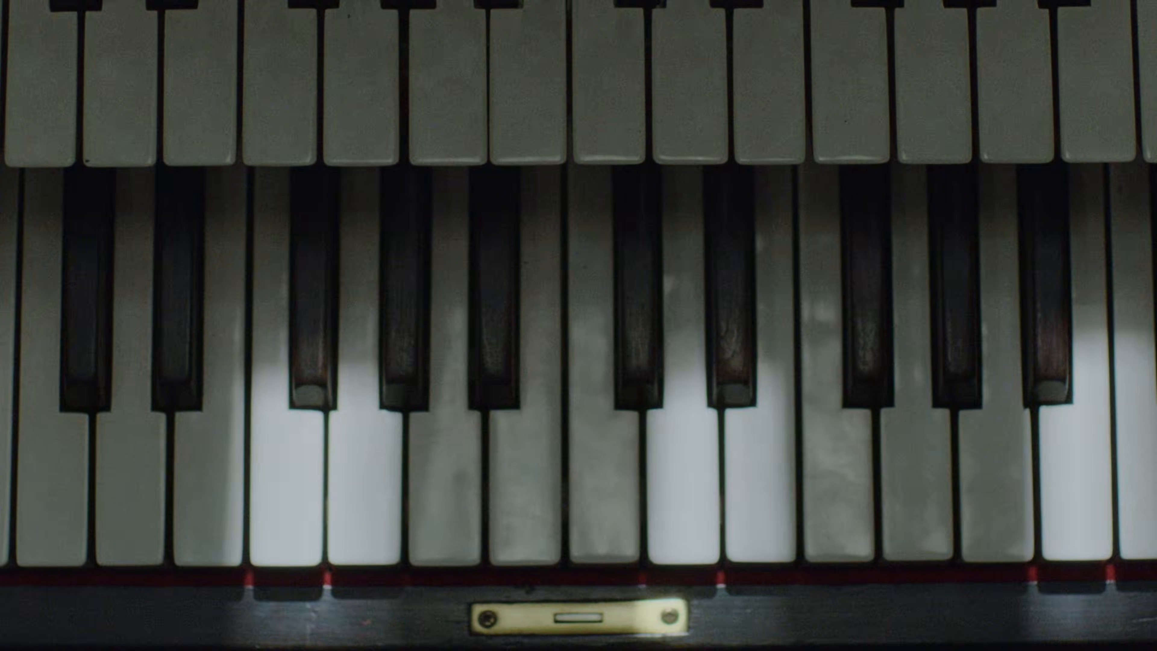 What You Sow (2026) —  shot,  lighting