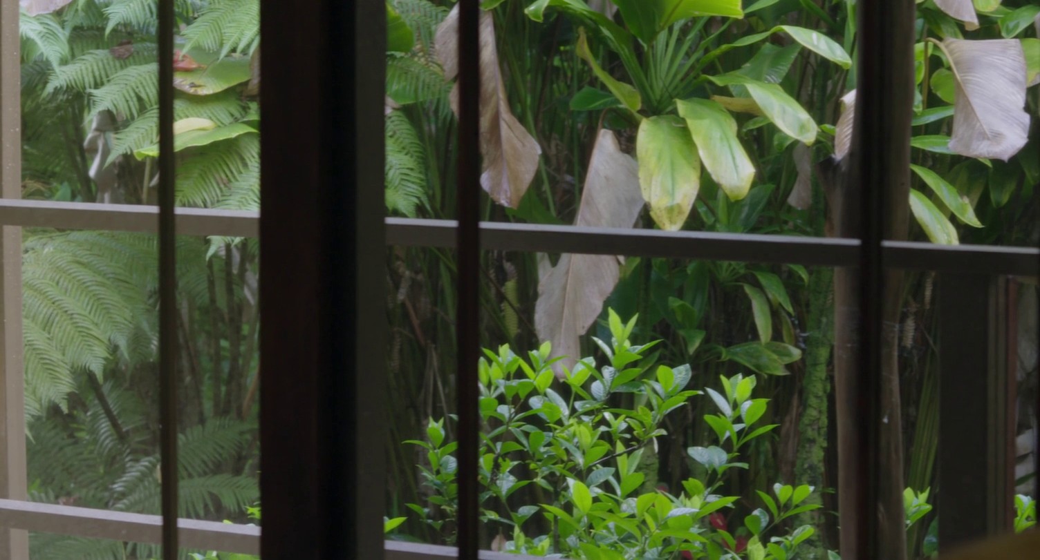 August at Akiko's (2018) —  shot,  lighting