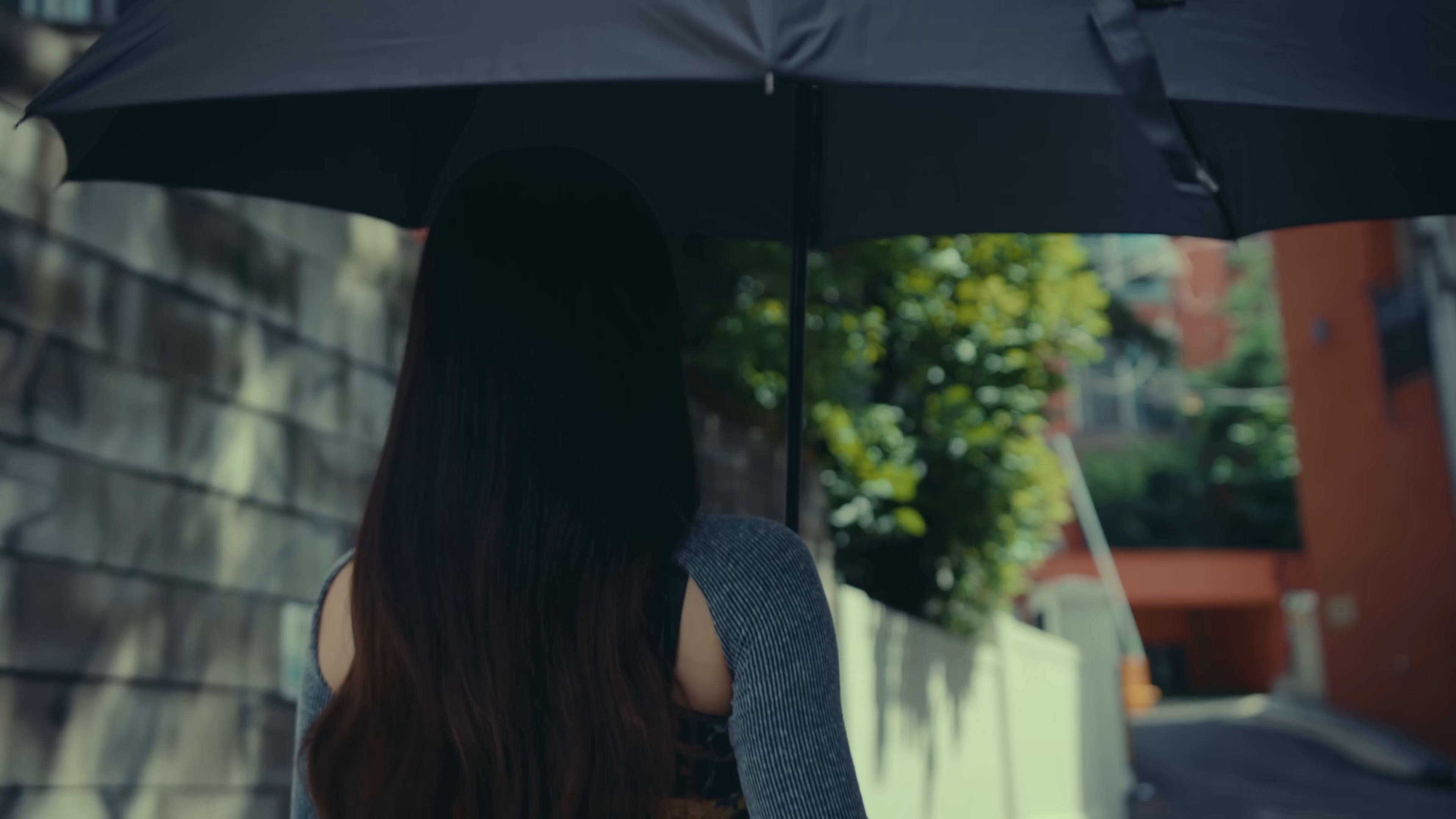 hair down (2024) —  shot,  lighting