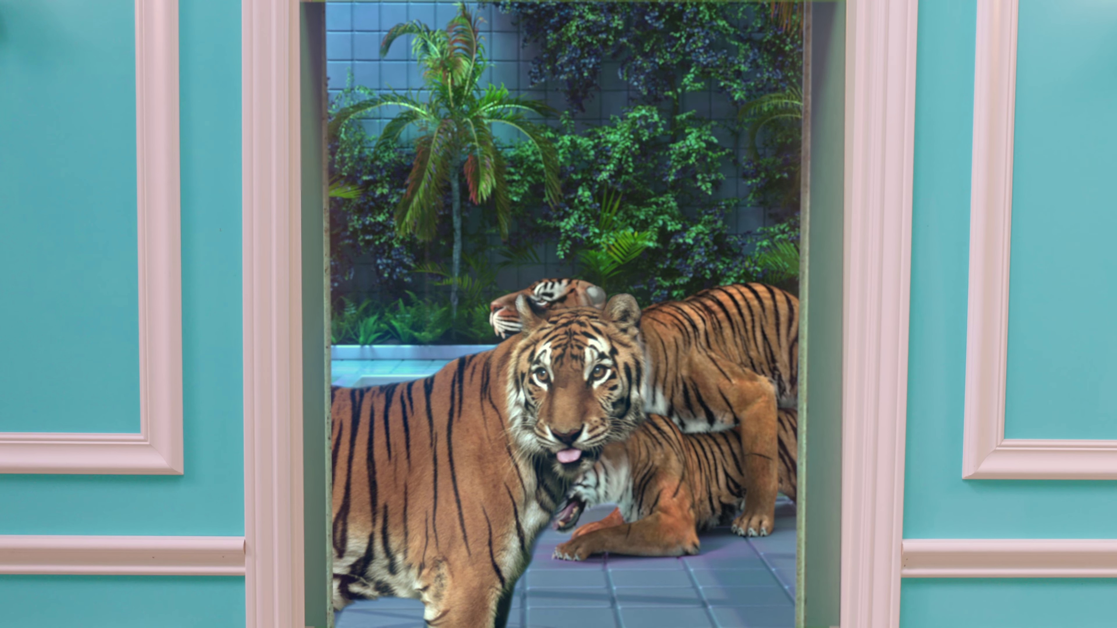 Wap (2020) —  shot,  lighting