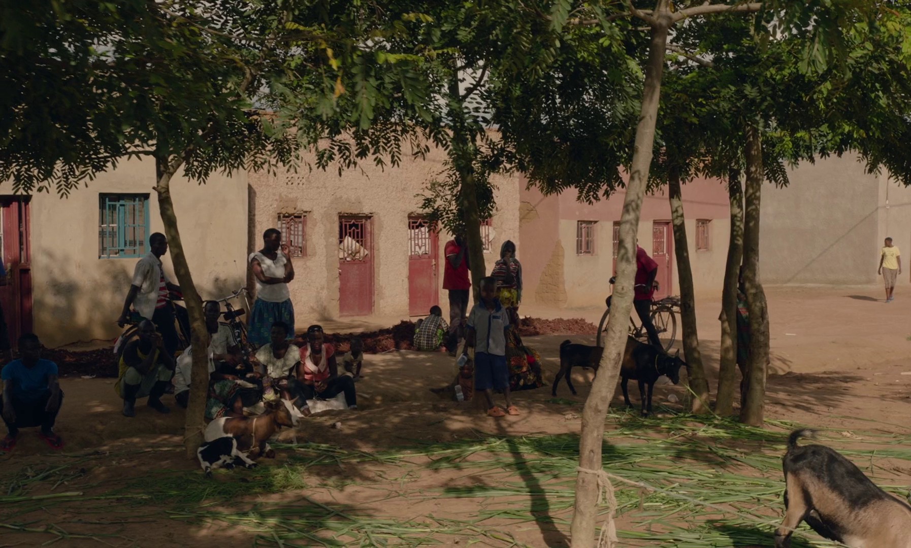 Neptune Frost (2022) —  shot,  lighting