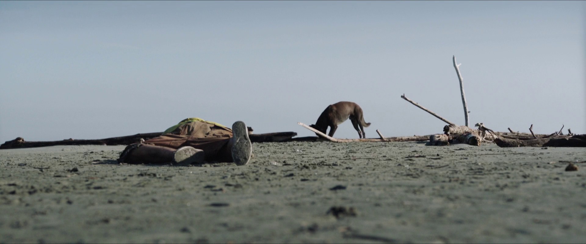 The Land of the Sons (2021) —  shot,  lighting