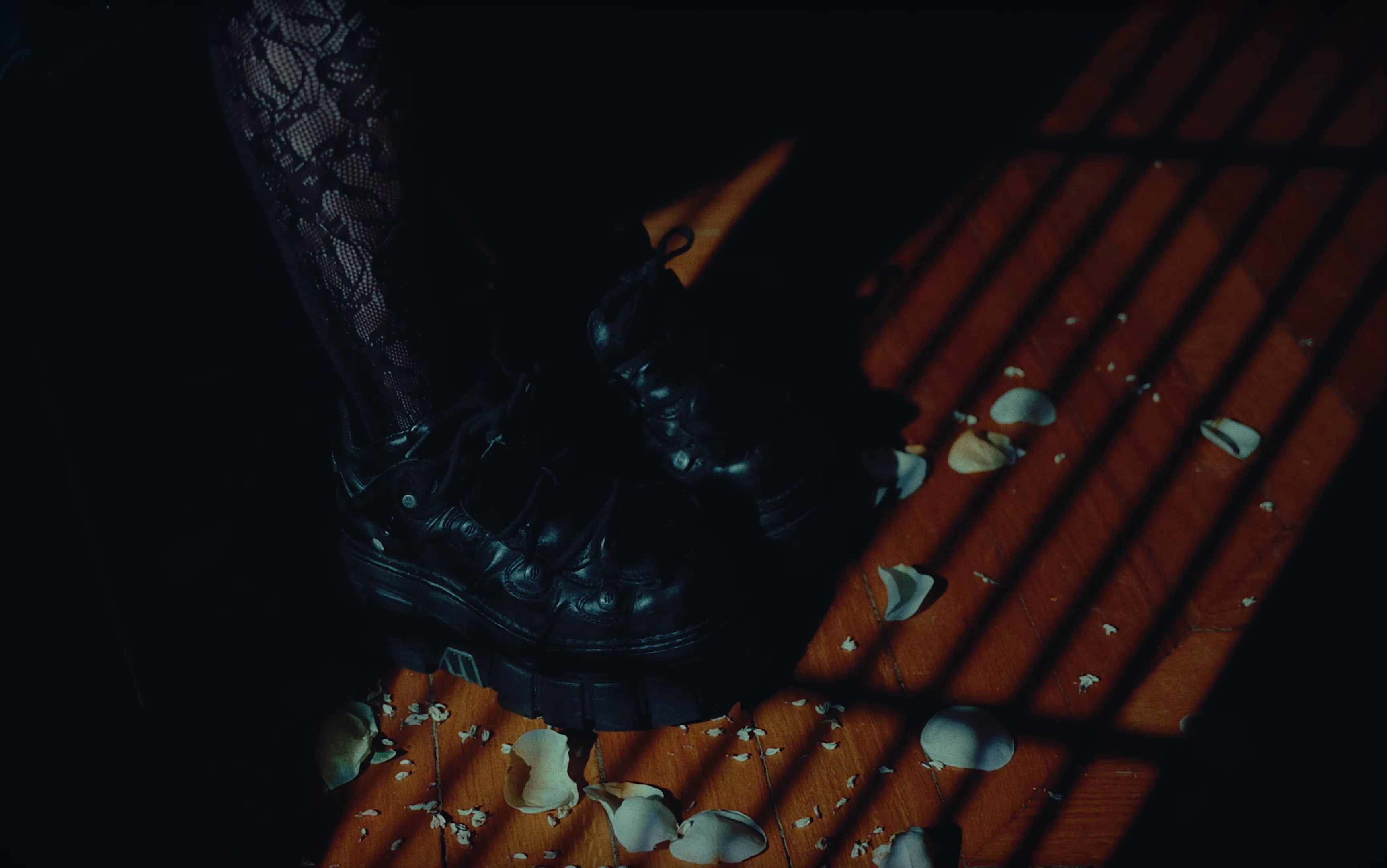 BEST-SELLER (2025) —  shot,  lighting