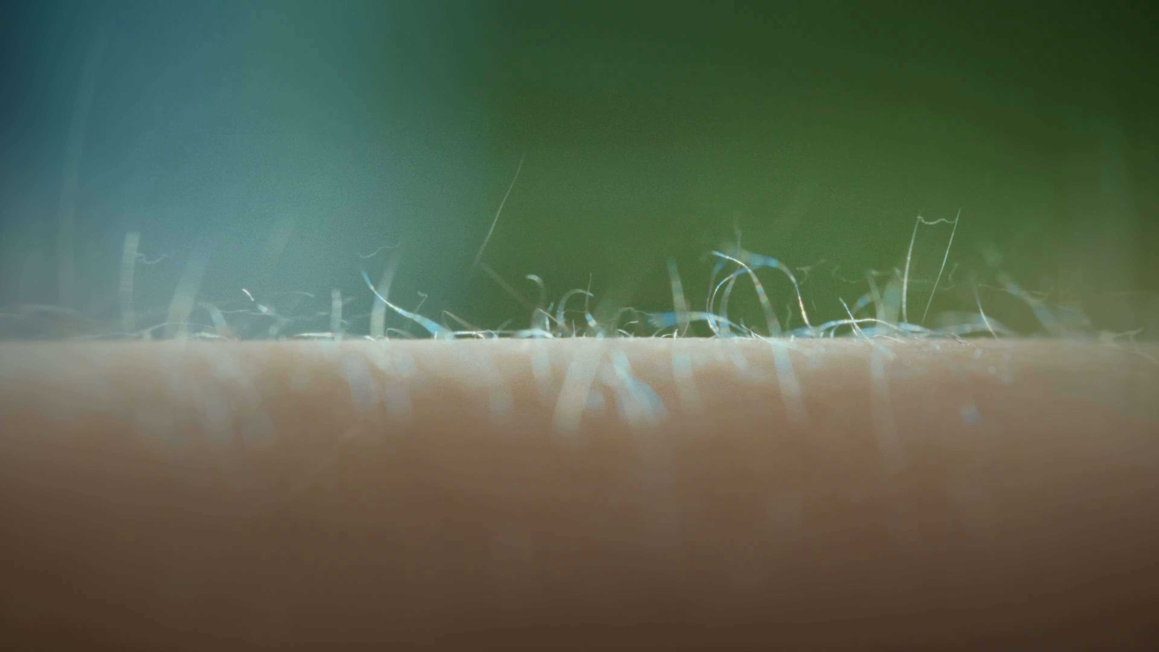 IYKYK (2024) —  shot,  lighting