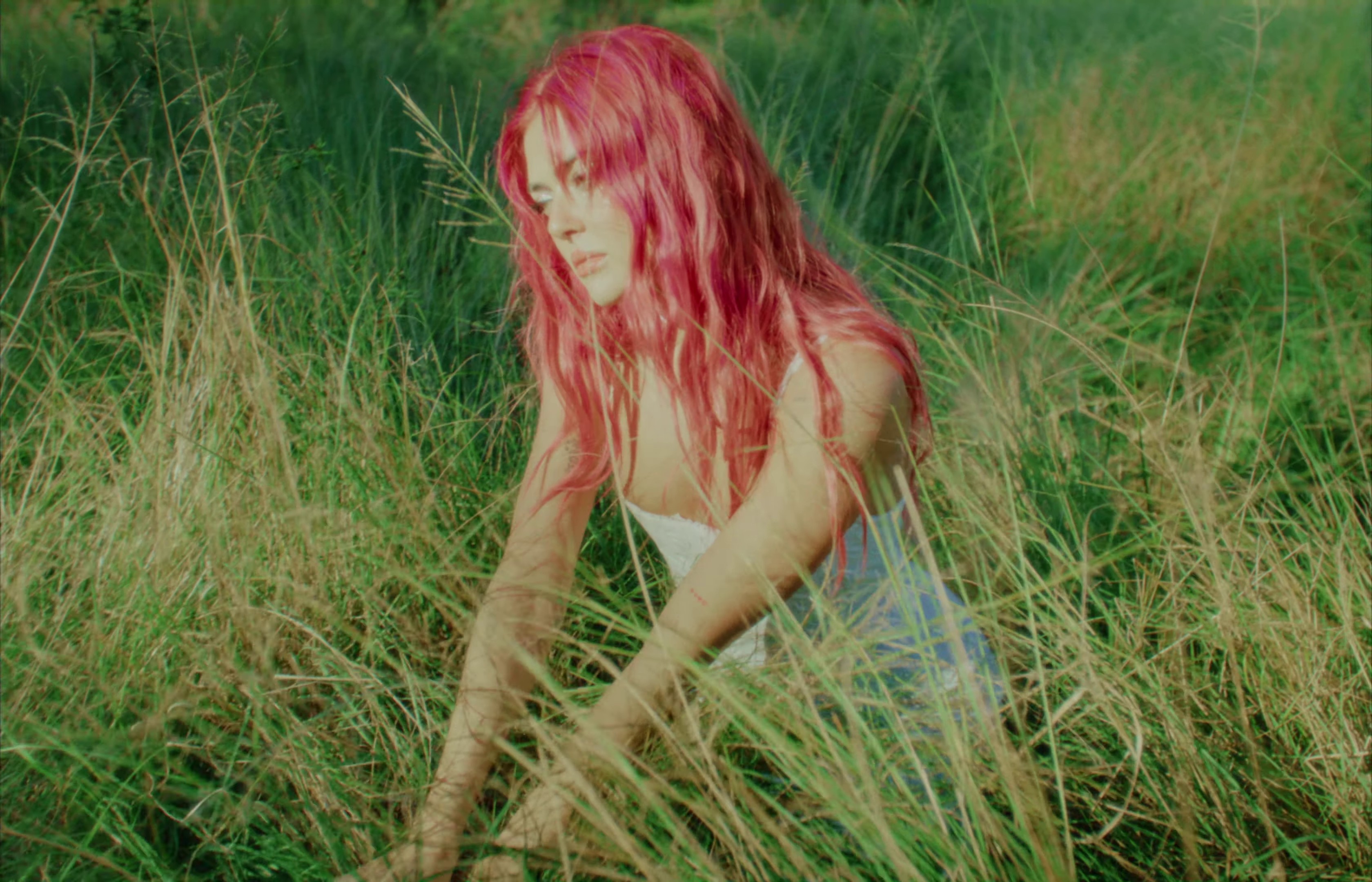 Running Wild  (2023) —  shot,  lighting