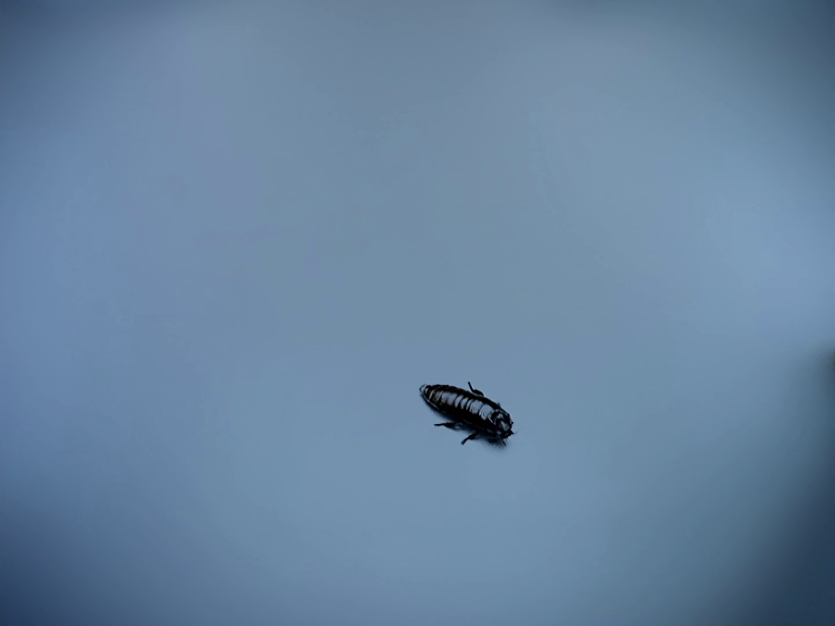 Virtual Insanity (1996) —  shot,  lighting