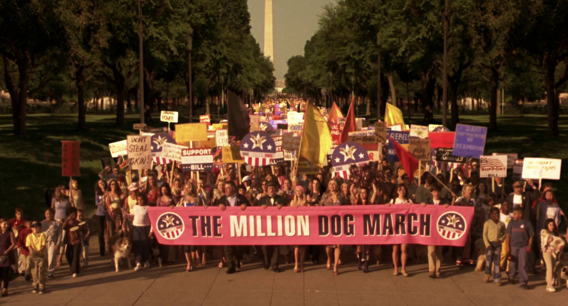 Legally Blonde 2 (2003) —  shot,  lighting