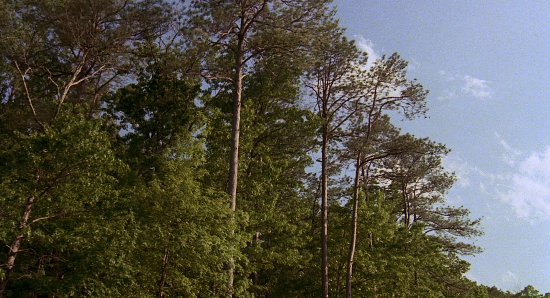 Not Without My Daughter (1991) —  shot,  lighting