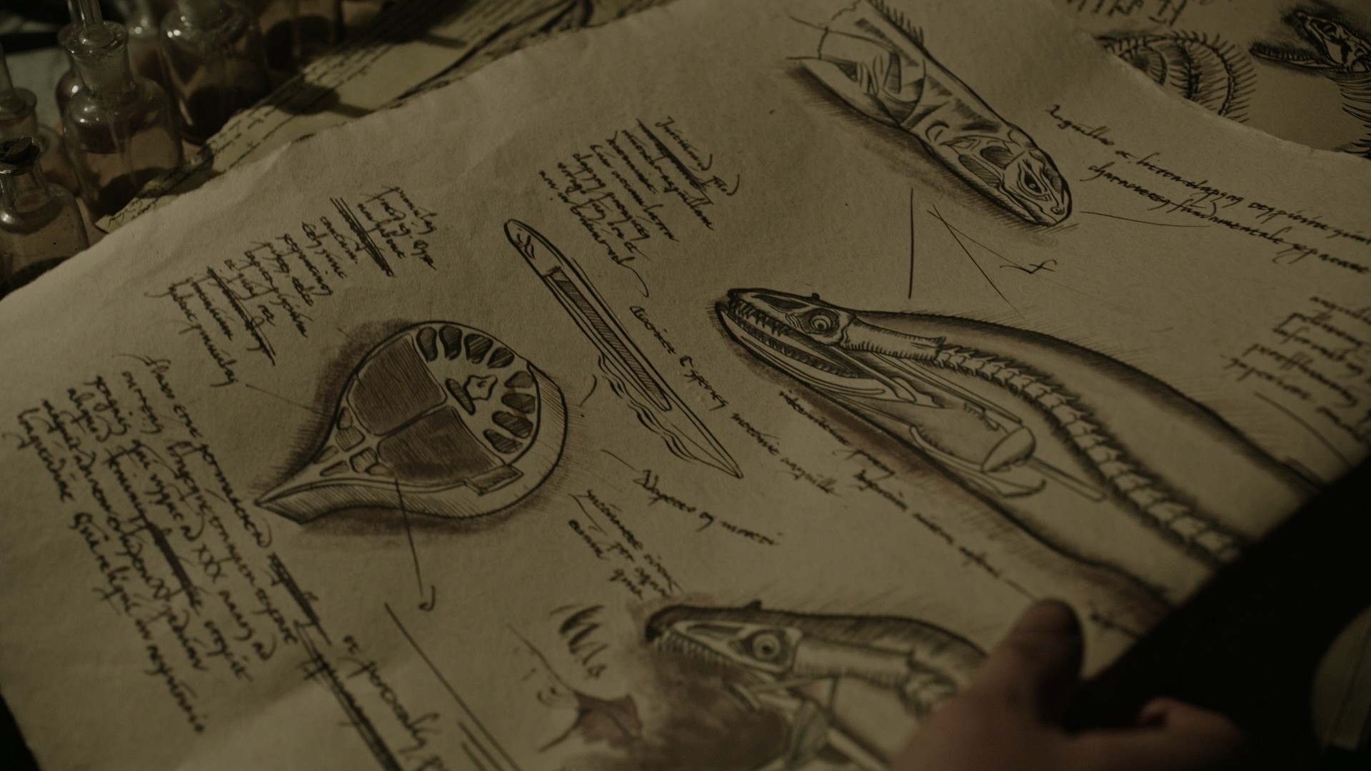 A Cure for Wellness (2016) —  shot,  lighting