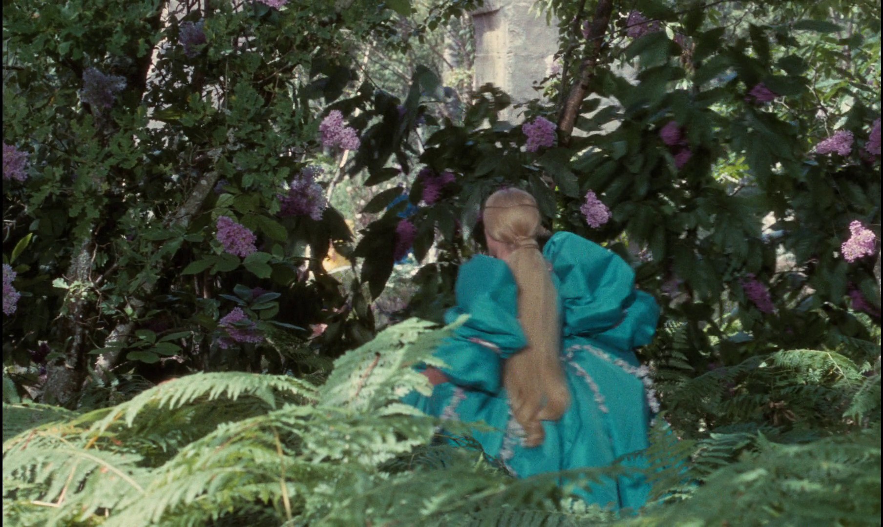 Donkey Skin (1970) —  shot,  lighting