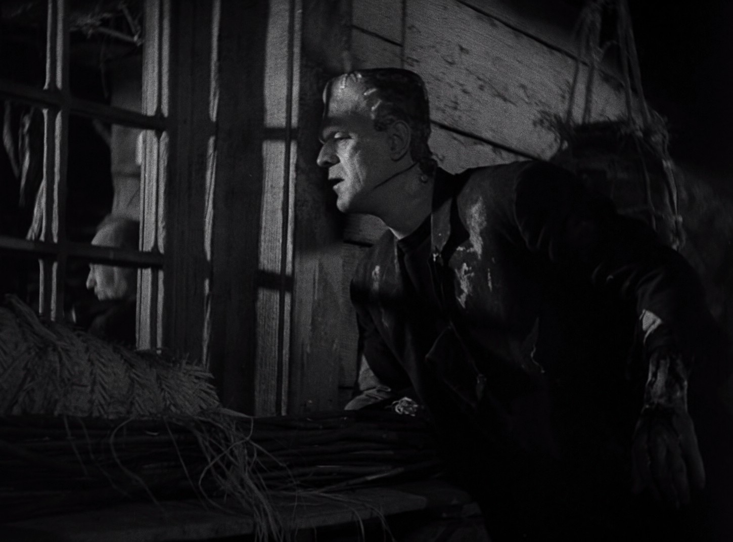 Bride of Frankenstein (1935) —  shot,  lighting