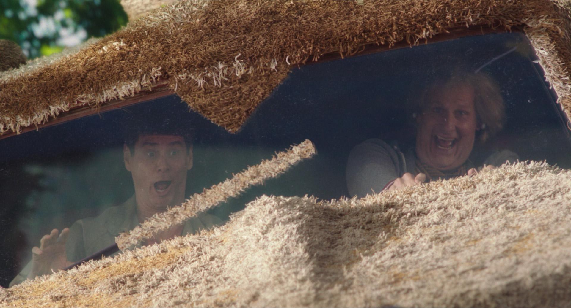 Dumb and Dumber To (2014) —  shot,  lighting