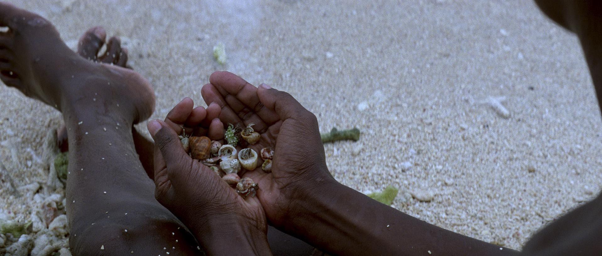 The Thin Red Line (1998) —  shot,  lighting