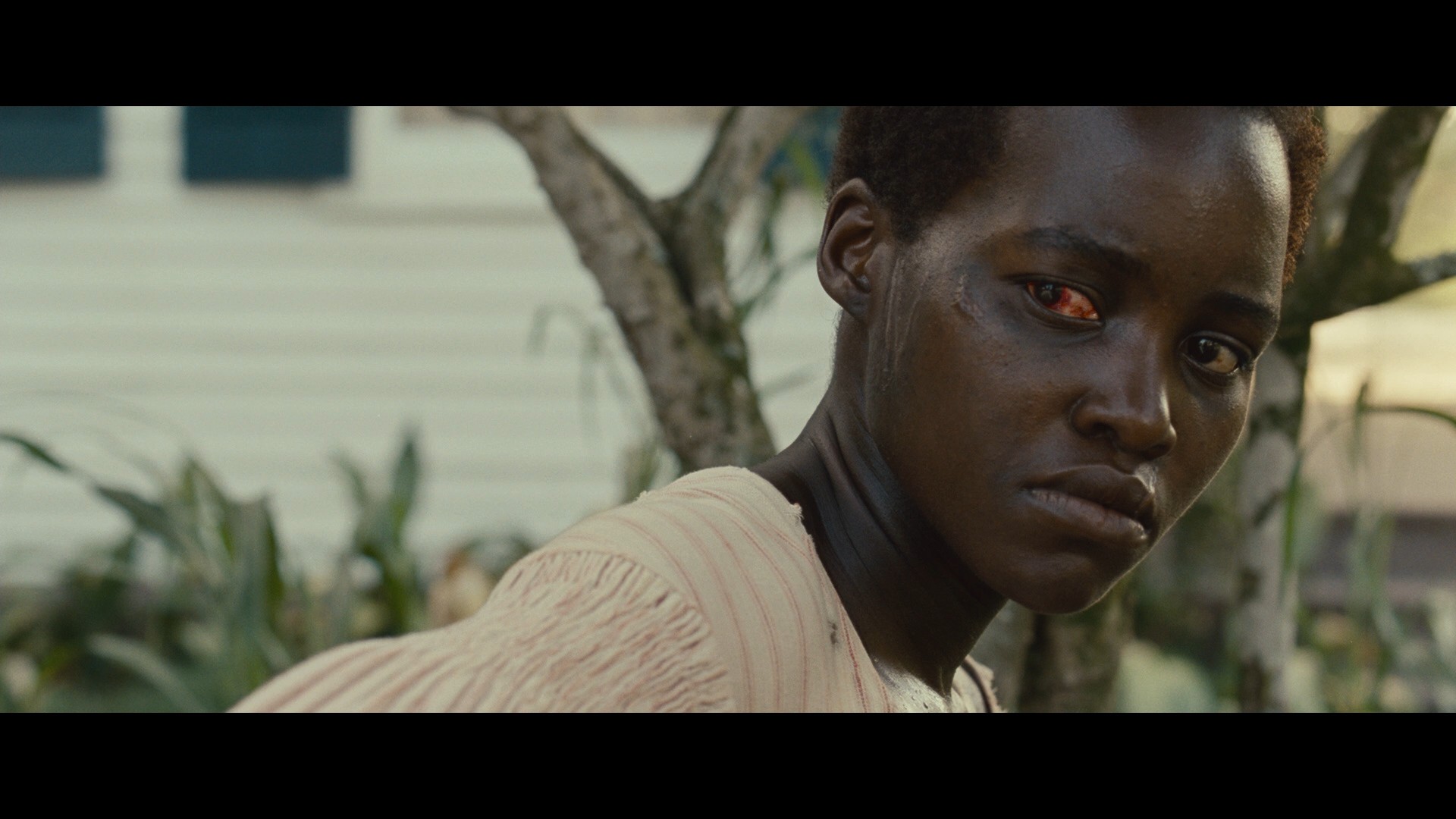 12 Years a Slave (2013) —  shot,  lighting