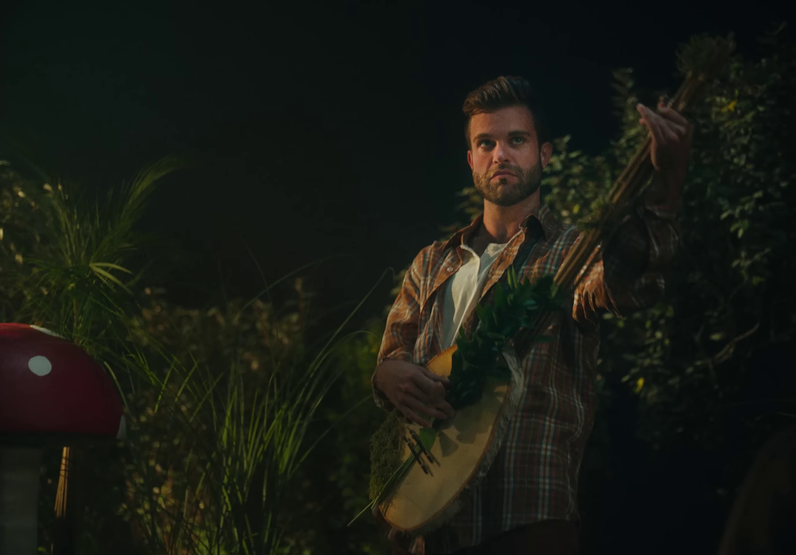 frog  (2022) —  shot,  lighting