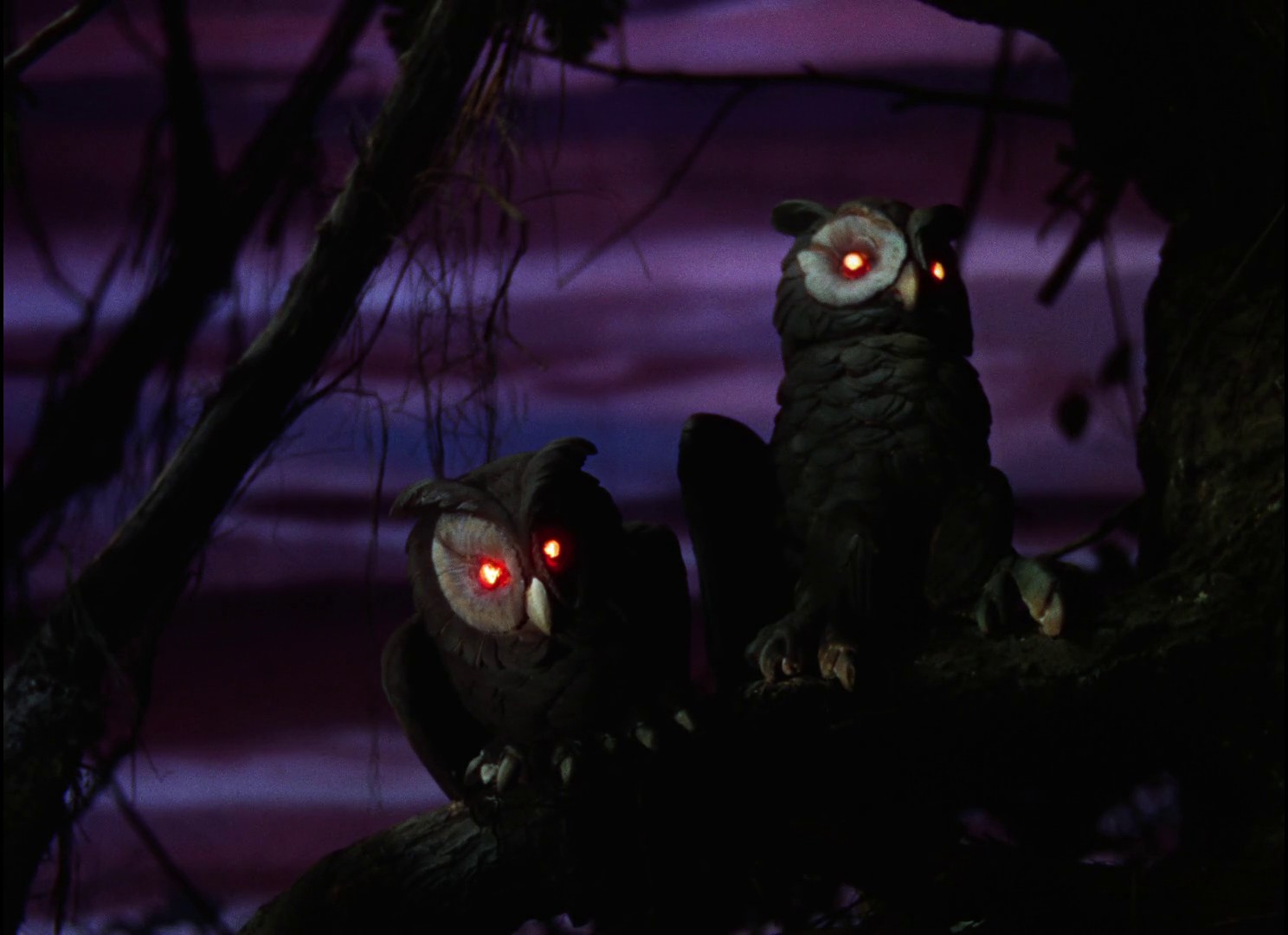 The Wizard of Oz (1939) —  shot,  lighting