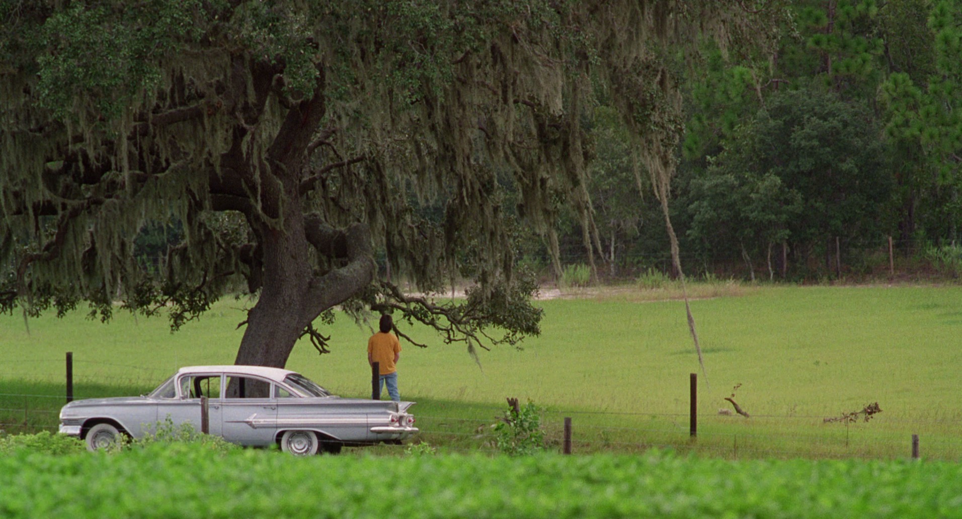 Jeepers Creepers (2001) —  shot,  lighting