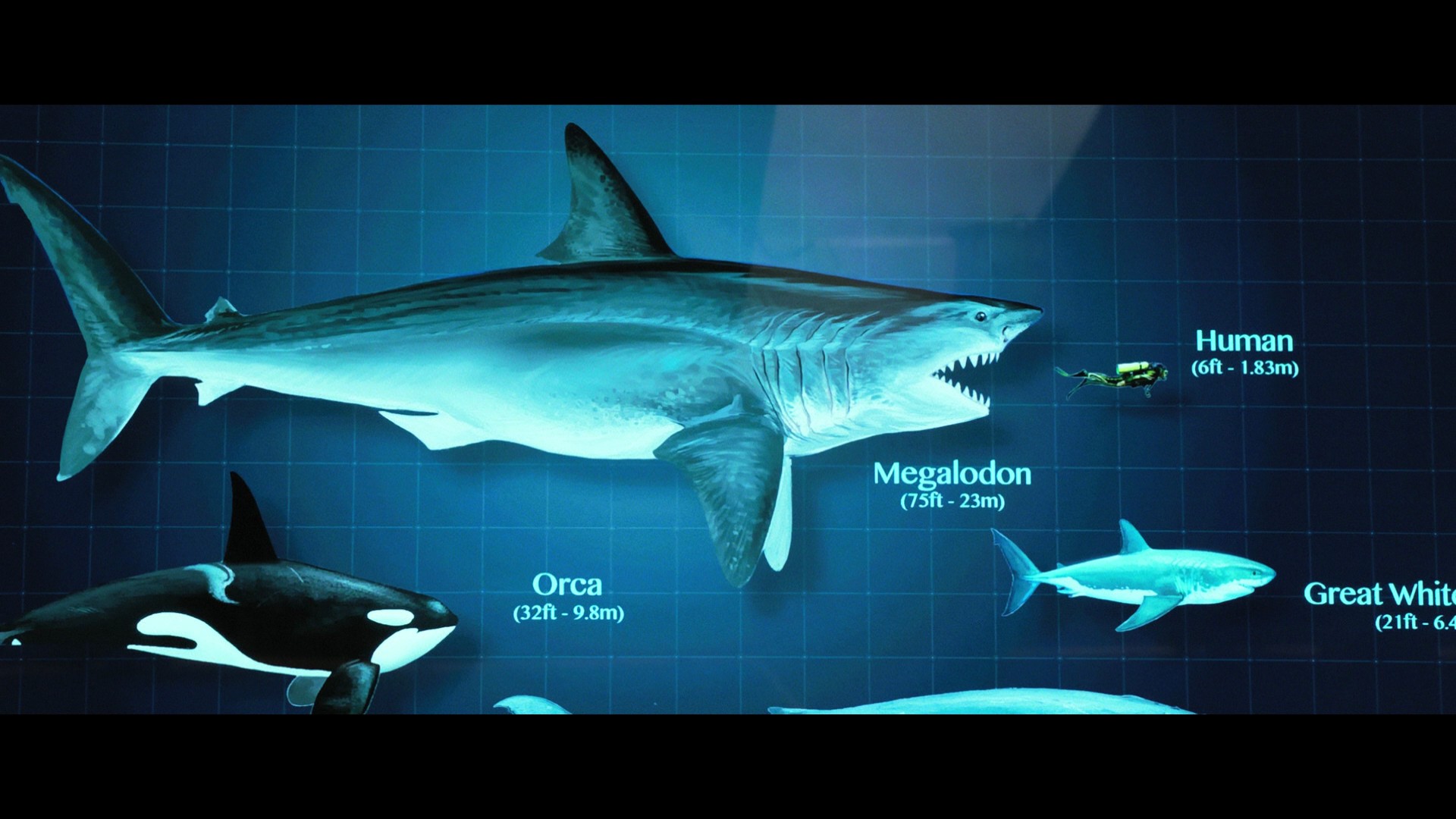 The Meg (2018) —  shot,  lighting