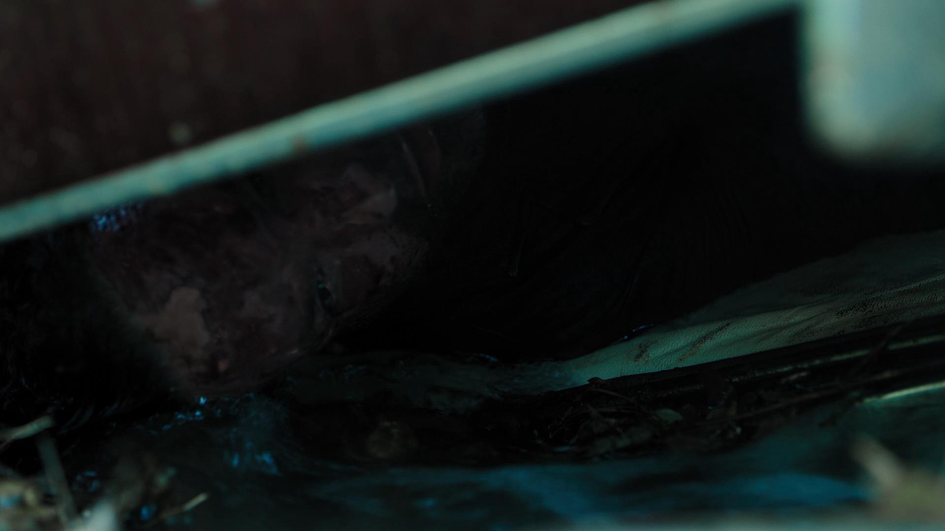 Rings (2017) —  shot,  lighting