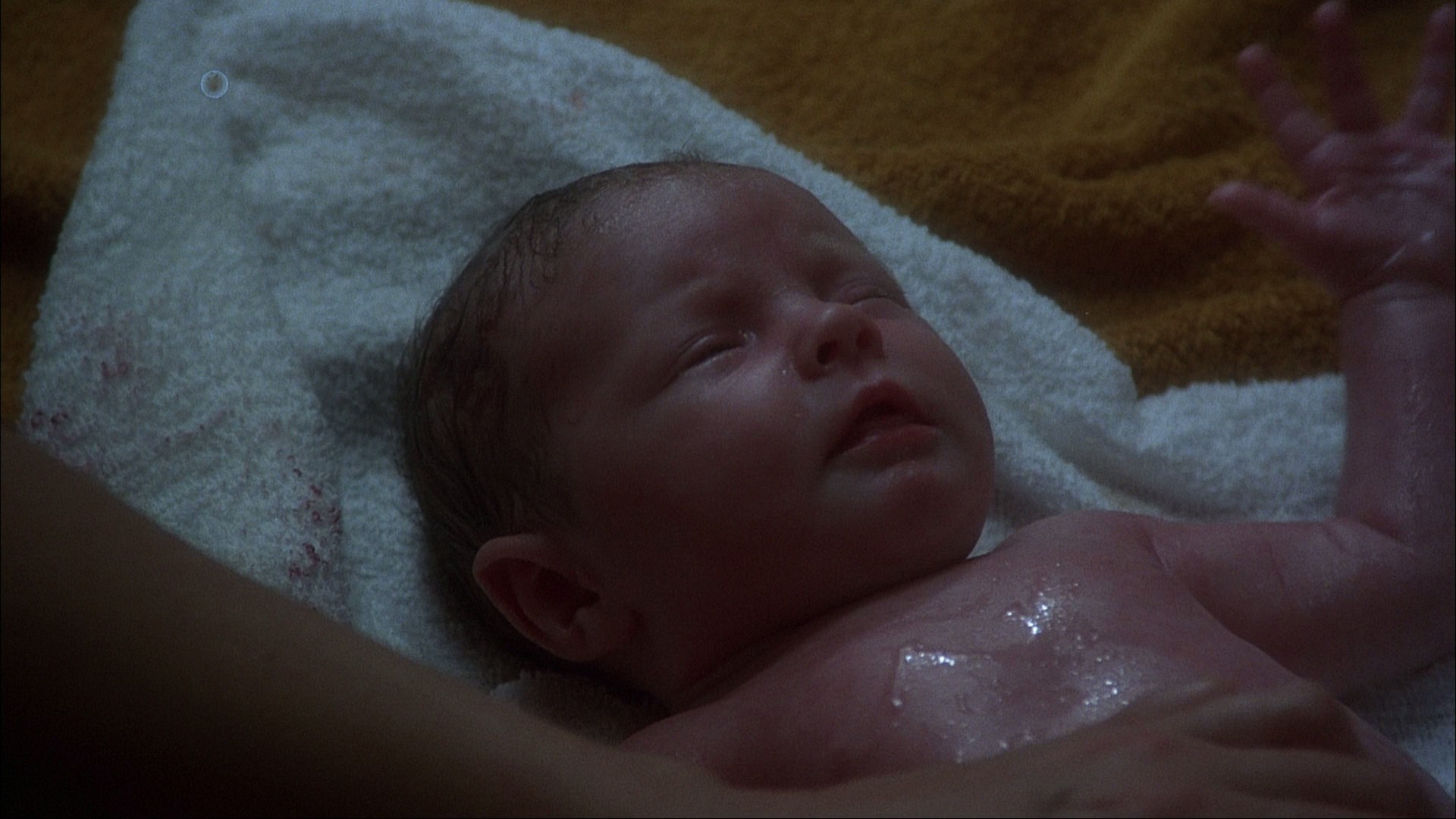 The Godsend (1980) —  shot,  lighting