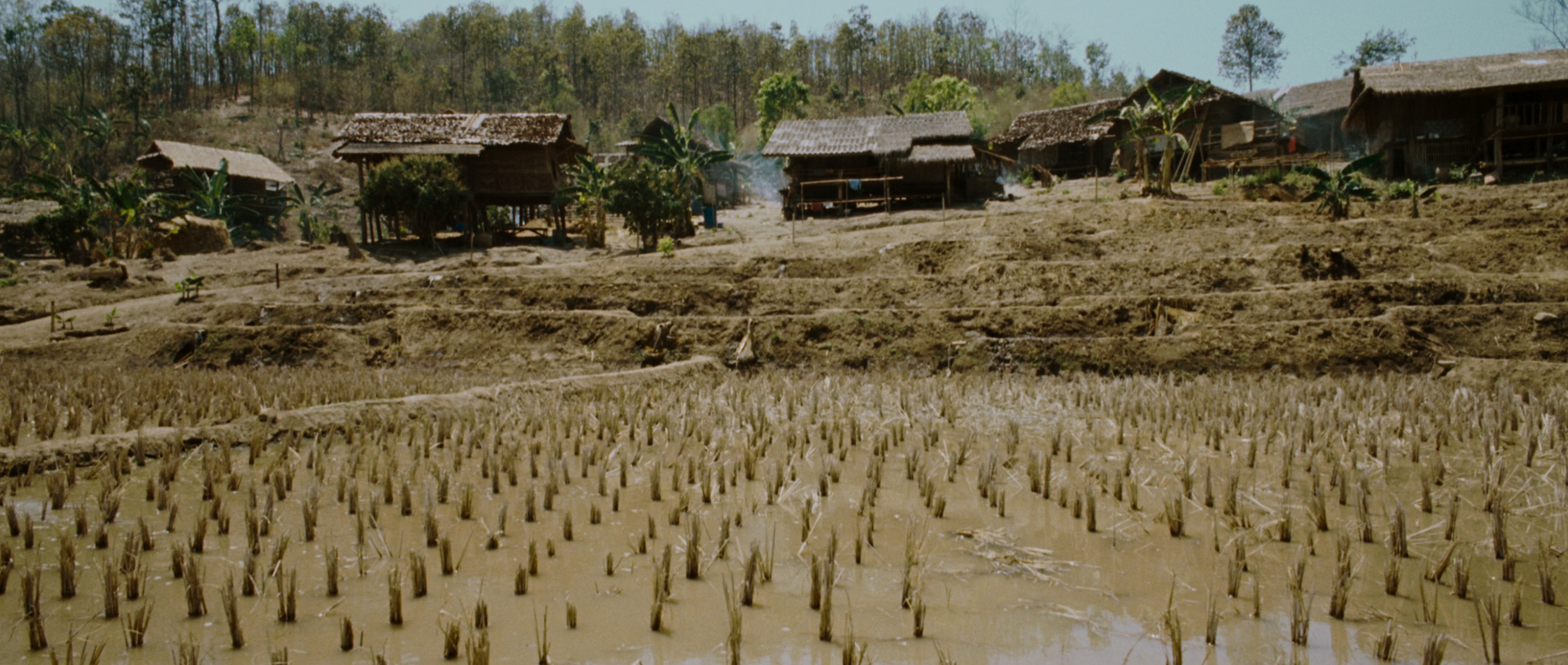 Rambo (2008) —  shot,  lighting